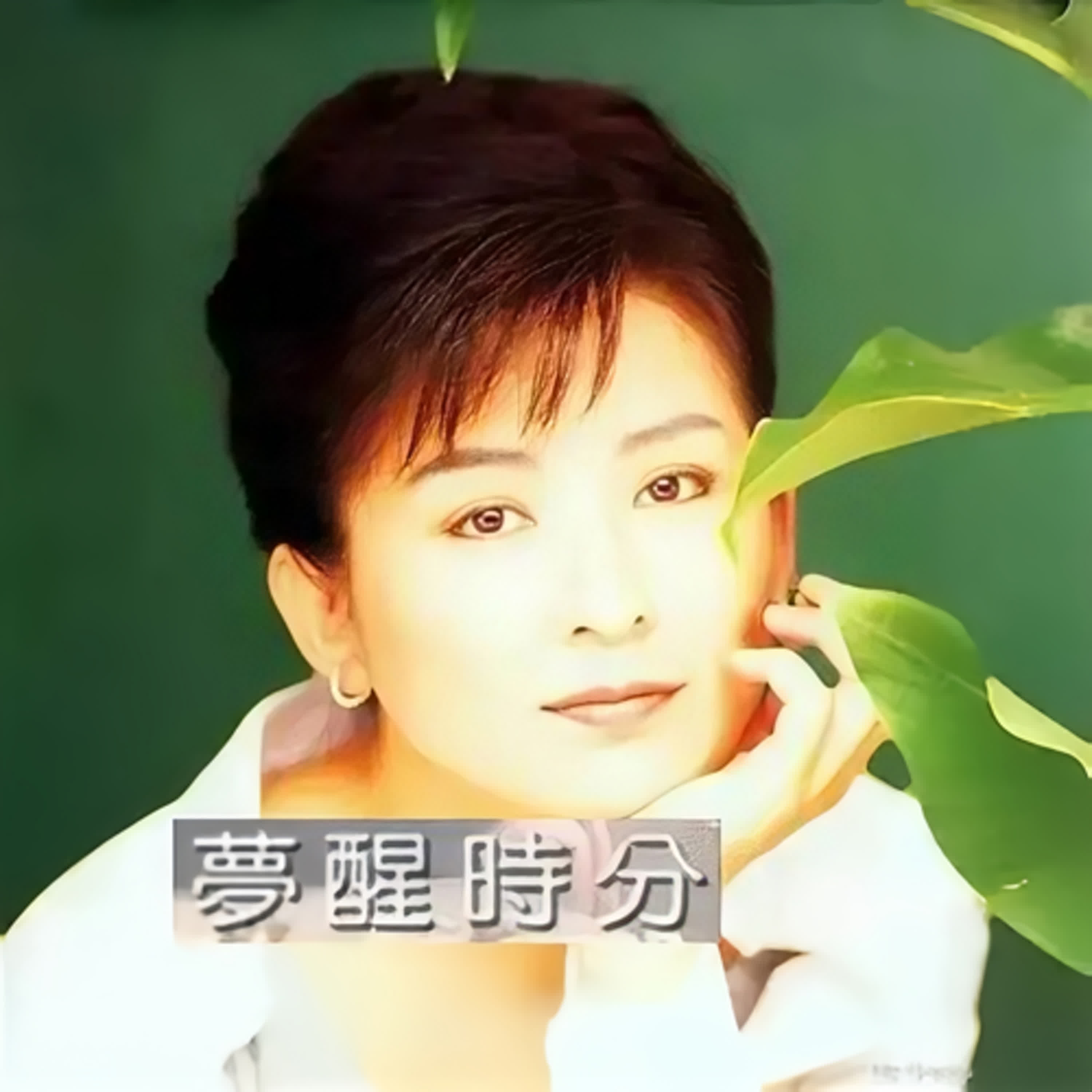 #陳淑樺 #夢醒時分 「李宗盛最心疼的女人，終於有消息了」  「兩屆金曲歌后，為何選擇沉默？」