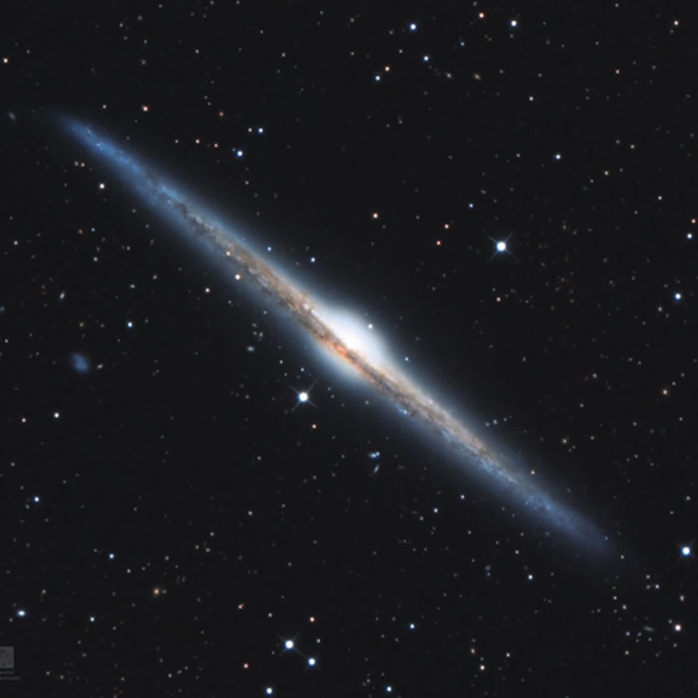 1210. NGC 4565：側向星系 ft. 阿錕 (20240606)