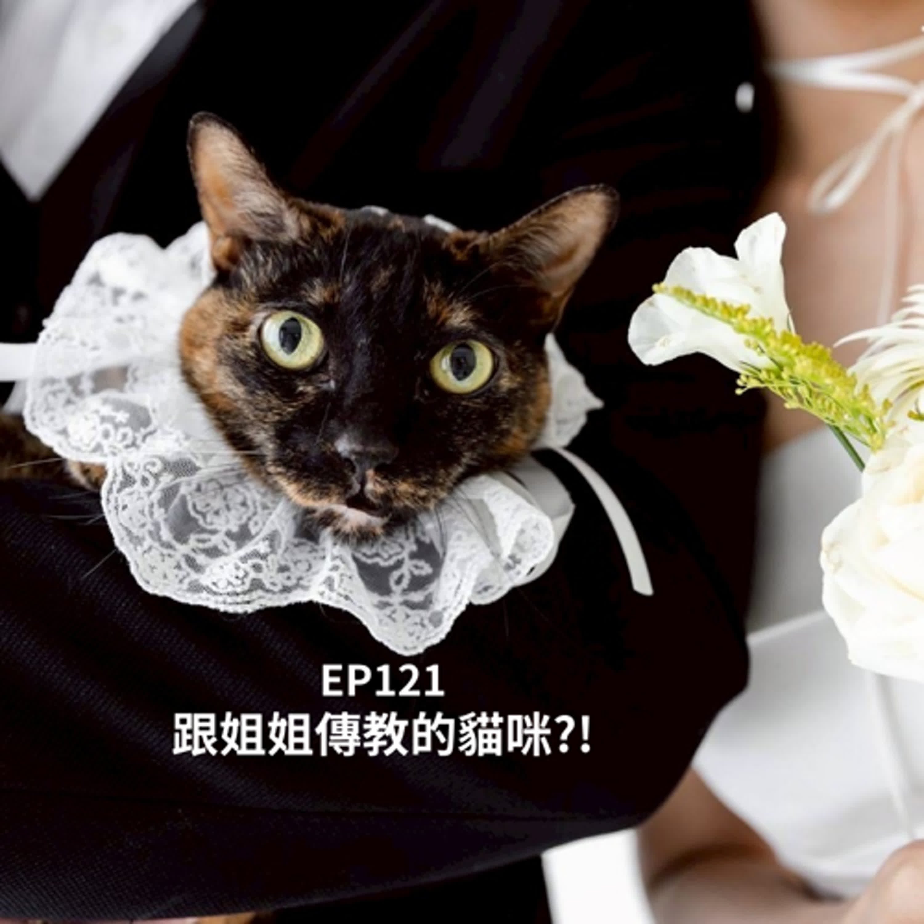 【Podcast】 EP121真的假的？離世寶貝去的地方，有可能跟你的信仰不一樣？！(柚子貍&安妮動物園/從0到1媒體人斜槓)