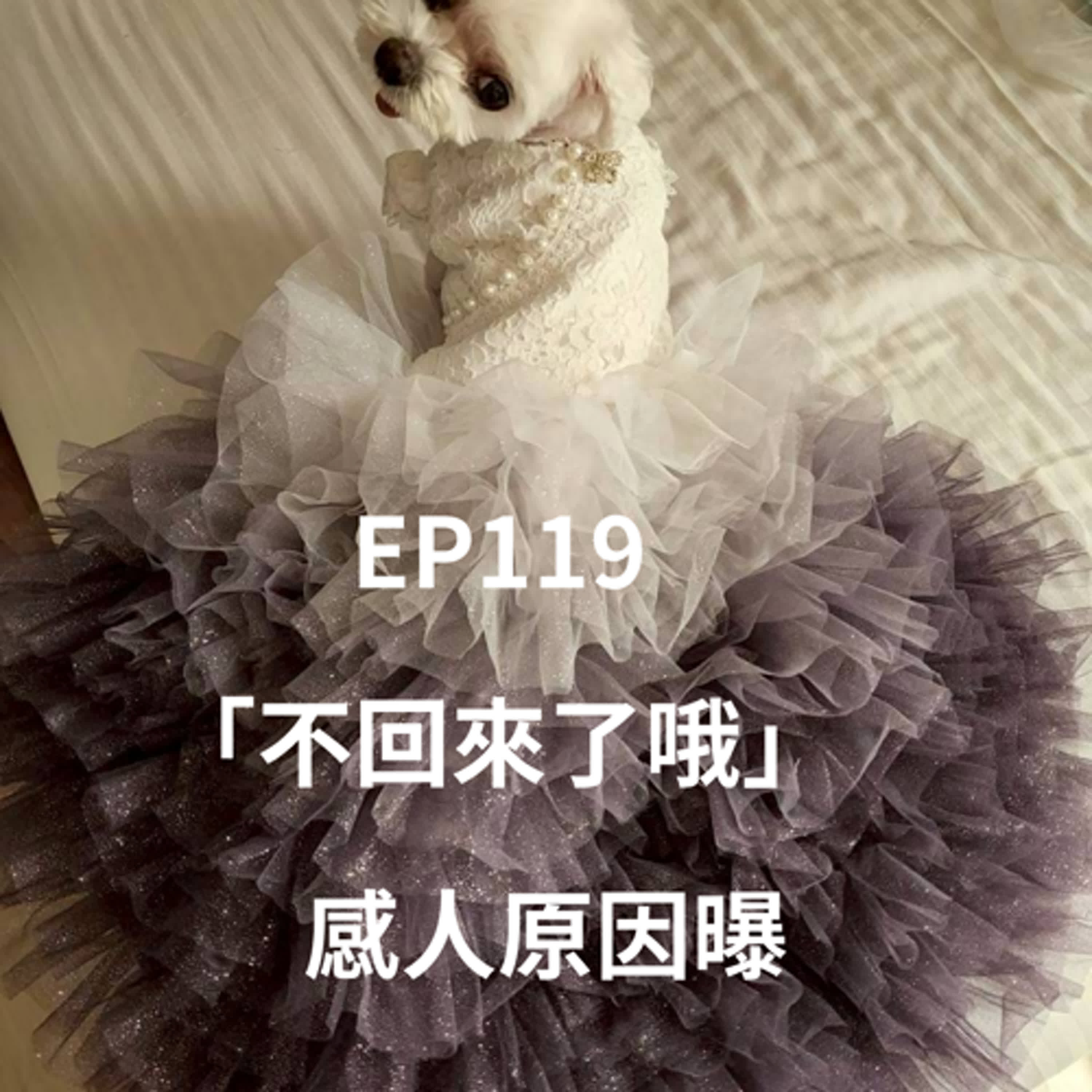 EP119離世馬爾濟斯不想再回來 感人原因曝!兩個受傷靈魂互相療癒
