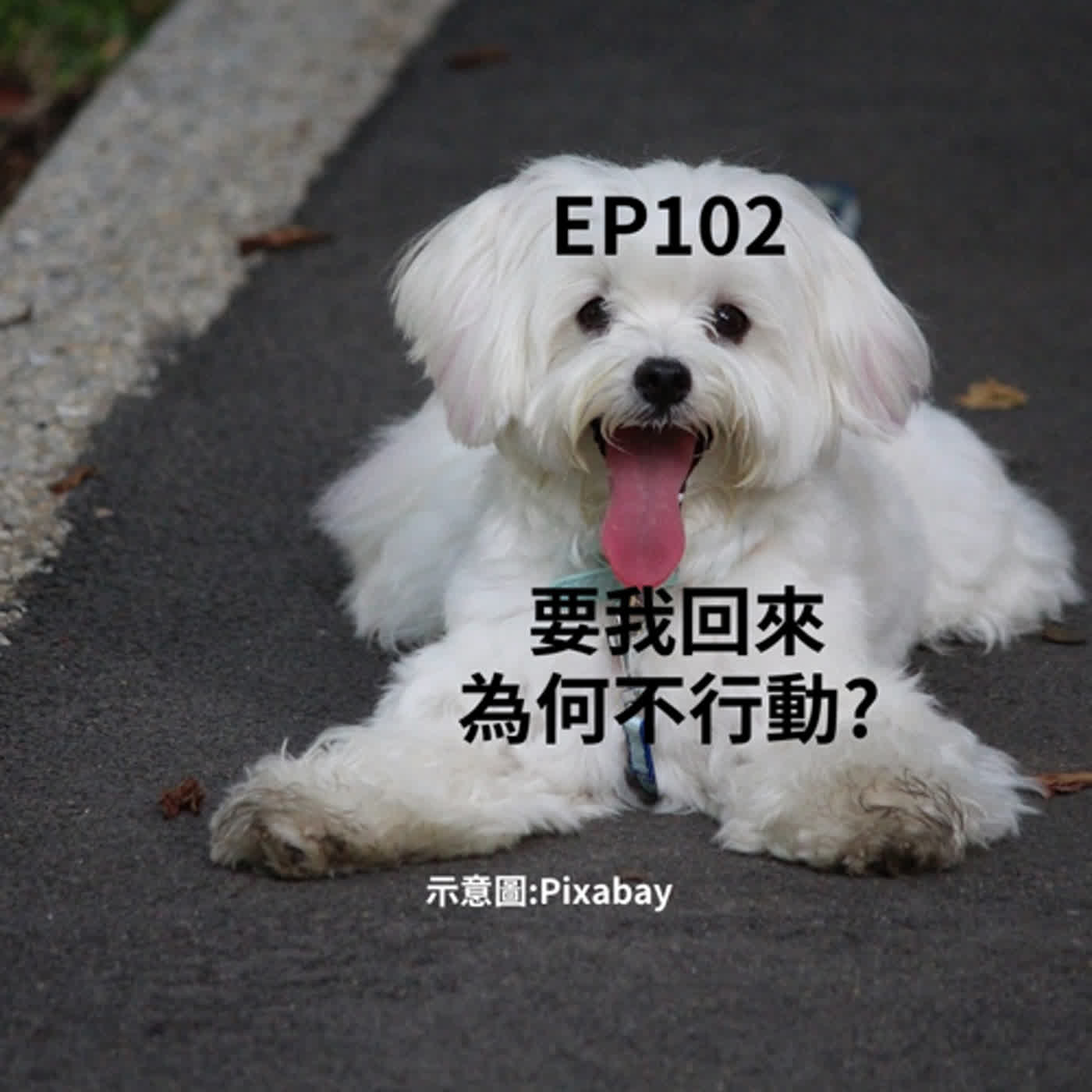 EP102不是說好要我回來？媽咪，妳為什麼不趕快行動？(柚子貍&安妮動物園/從0到1媒體人X斜槓)