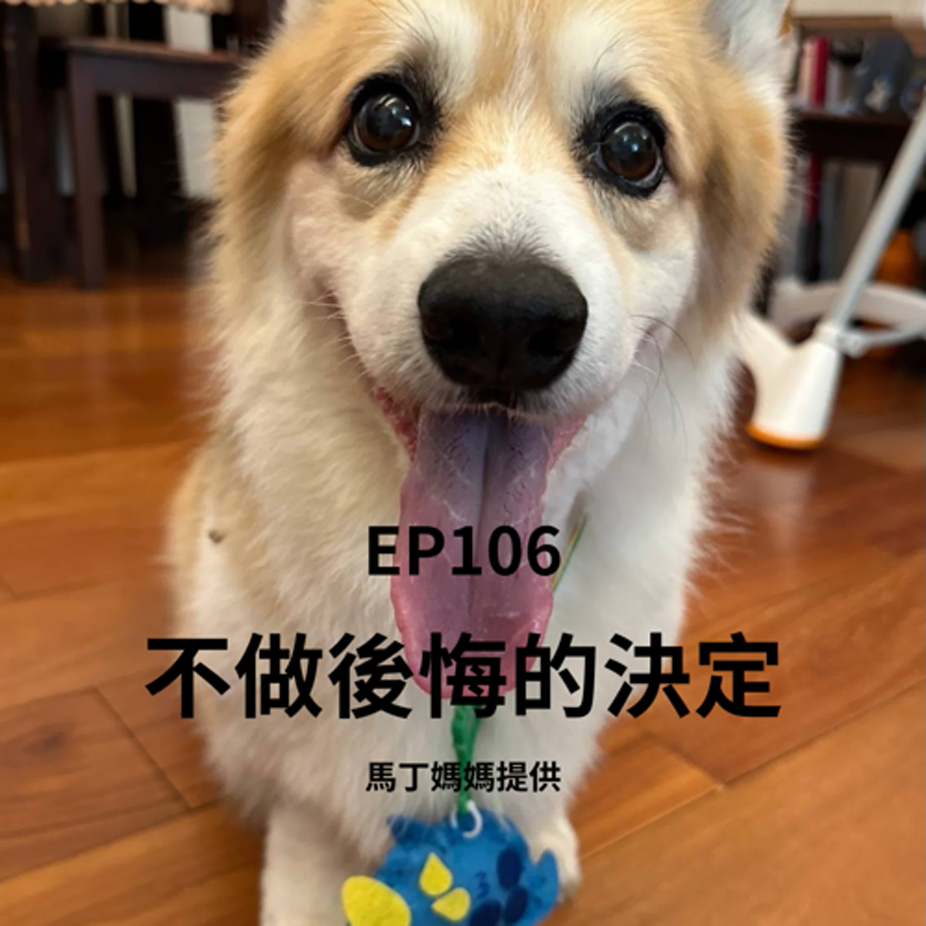 EP106為毛孩做選擇好難呀！ 最高原則:不做會後悔的決定 (柚子貍&安妮動物園/從0到1媒體人X斜槓)