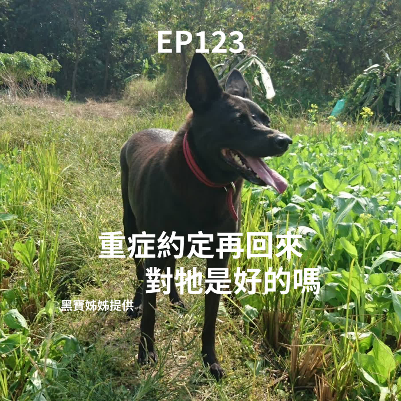 EP123 約定再回來,真的對祂好嗎?還會是原來的祂嗎? EP123 約定再回來,真的對祂好嗎?還會是原來的祂嗎?