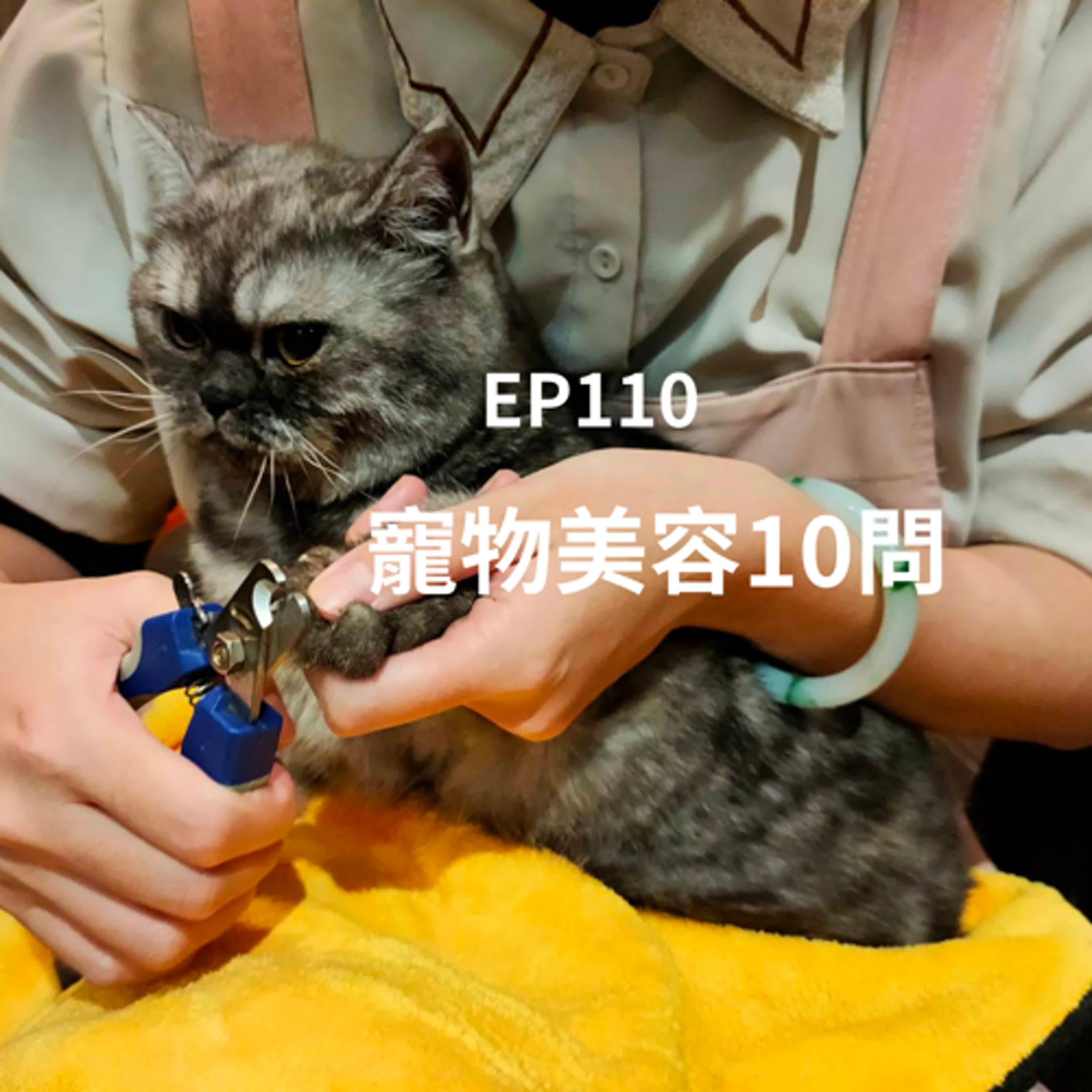 EP110寵物美容師不會告訴你的事-毛爸毛媽一起來長知識(柚子狸&安妮動物園/從0到1媒體人X斜槓)