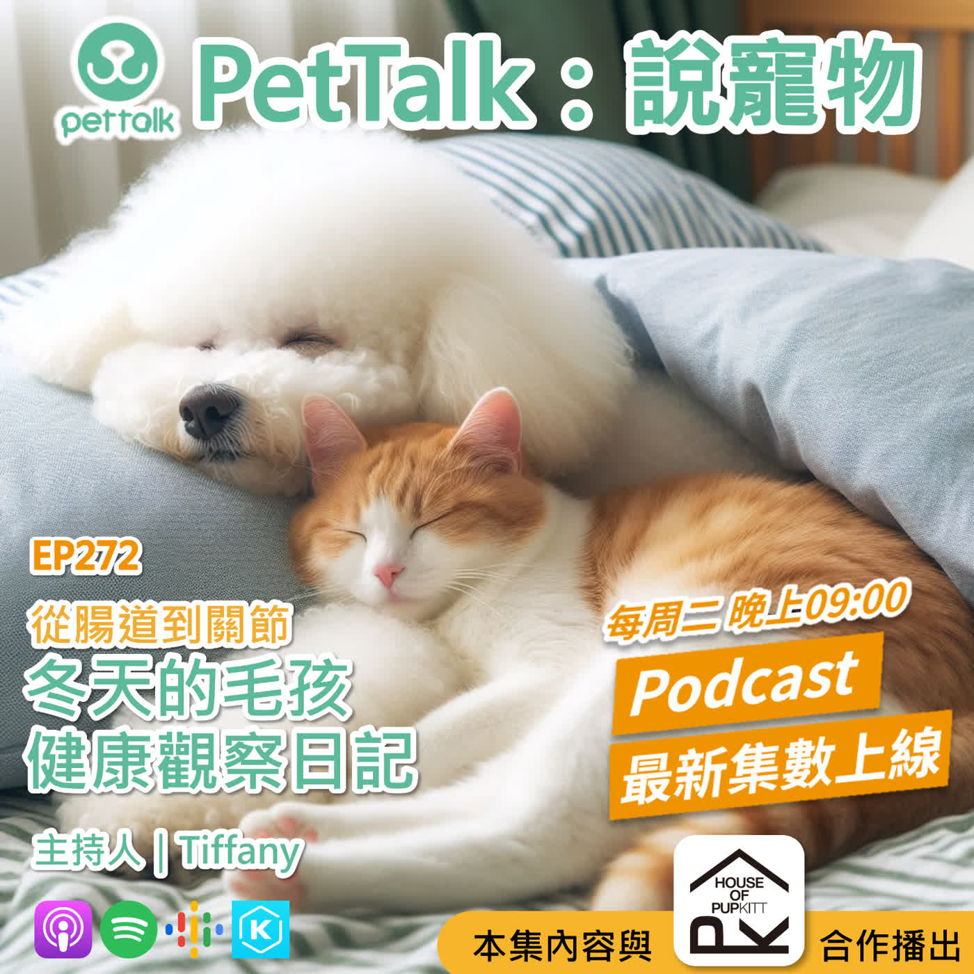 EP272|從腸道到關節,冬天的毛孩健康觀察日記 feat. Tiffany/主持人 EP272|從腸道到關節,冬天的毛孩健康觀察日記 feat. Tiffany/主持人