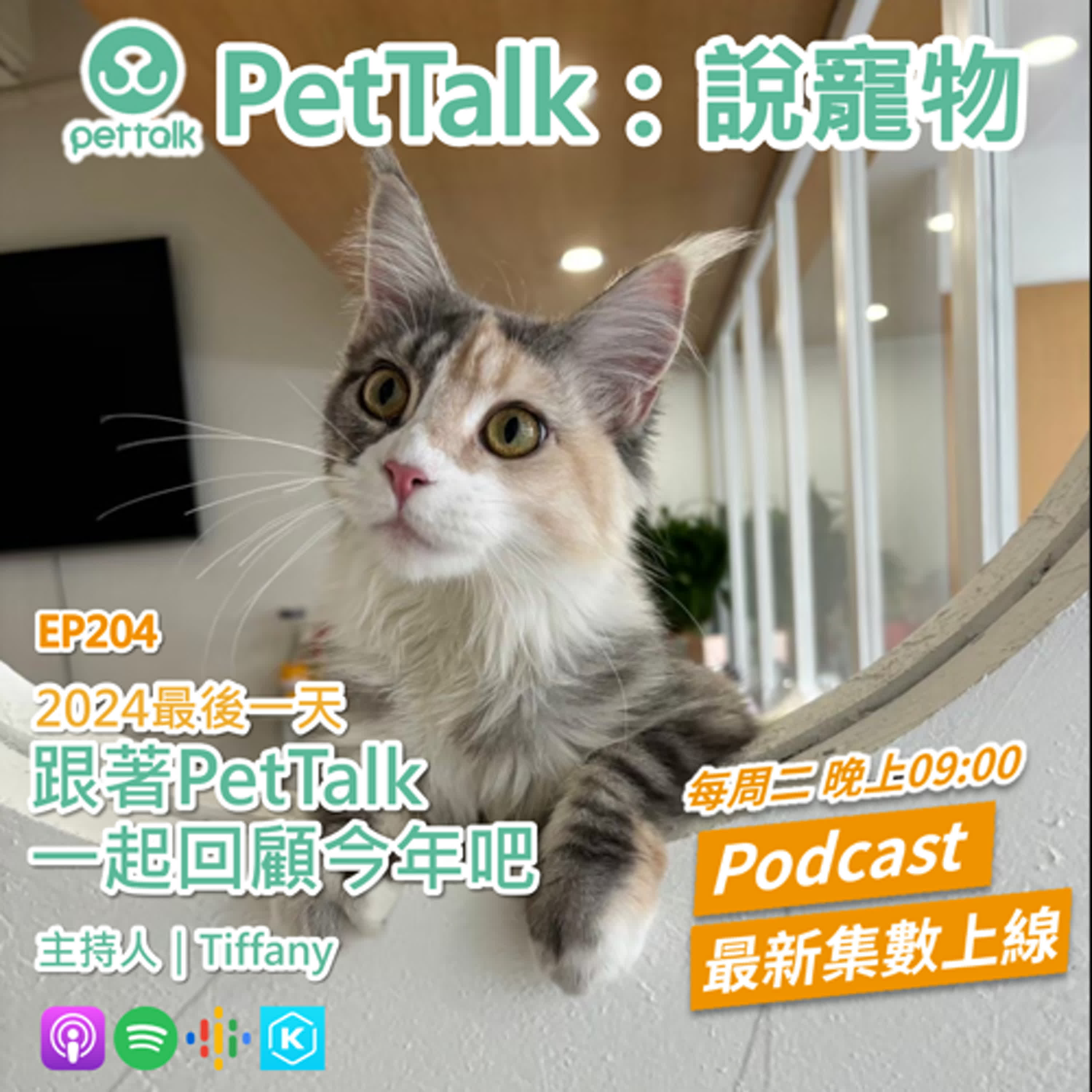 EP204｜2024最後一天，跟著PetTalk一起回顧今年吧 feat. Tiffany／主持人