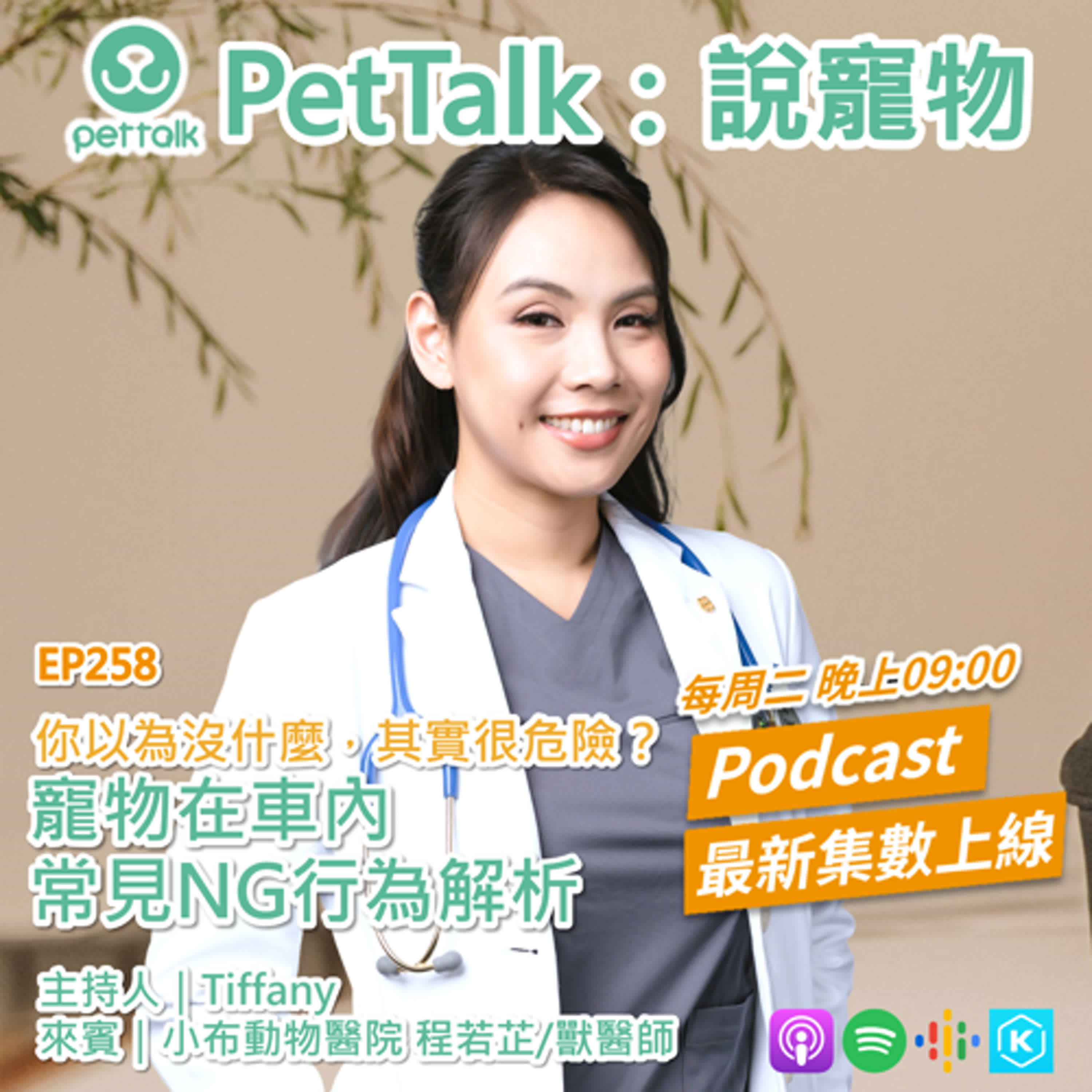 EP258｜你以為沒什麼，其實很危險？寵物在車內常見NG行為解析 feat. 程若芷 獸醫師