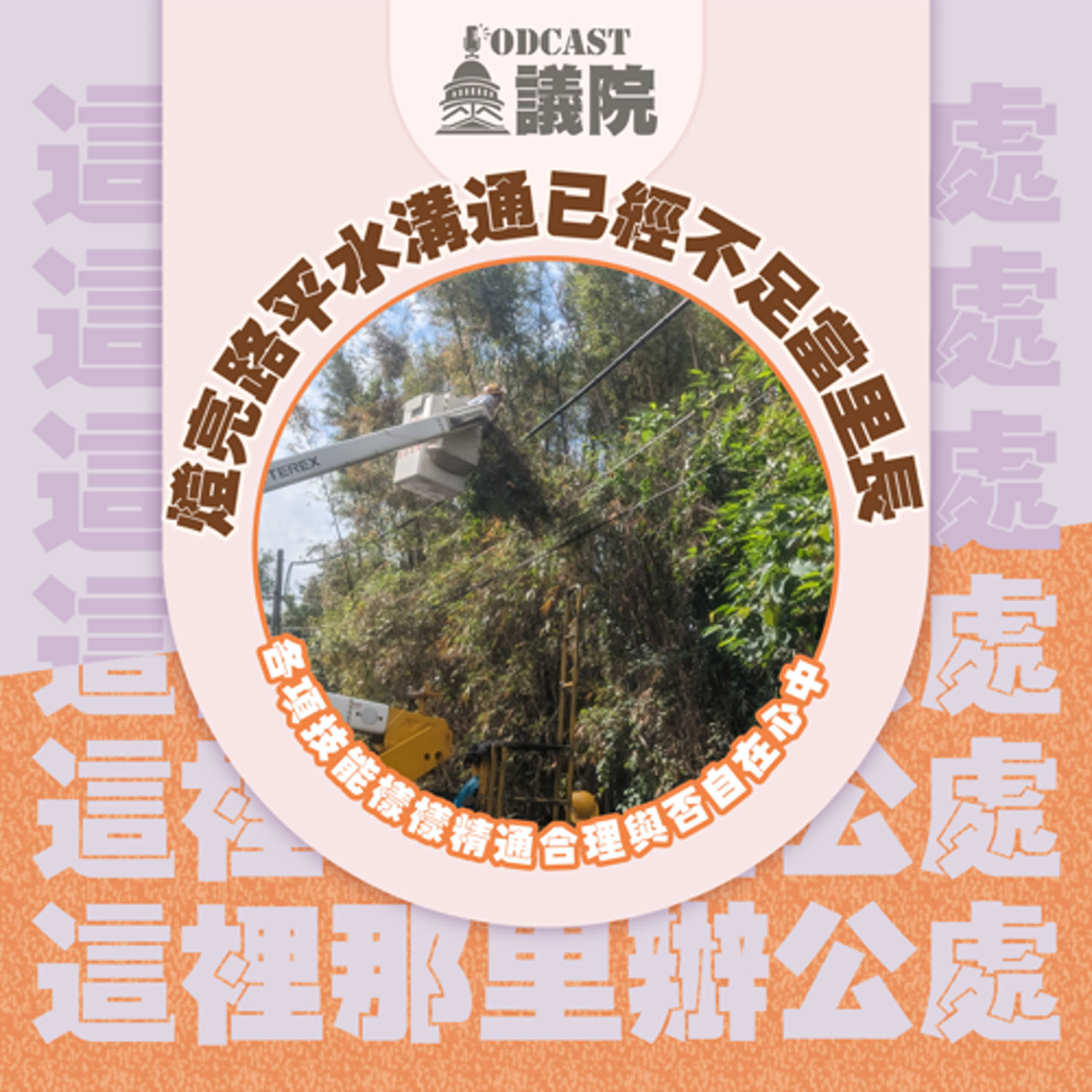 　燈亮路平水溝通已經不足當里長，各項技能樣樣精通合理與否自在心中【這裡那里辦公處】S13E08｜Podcast眾議院 Podcast眾議院 episode artwork