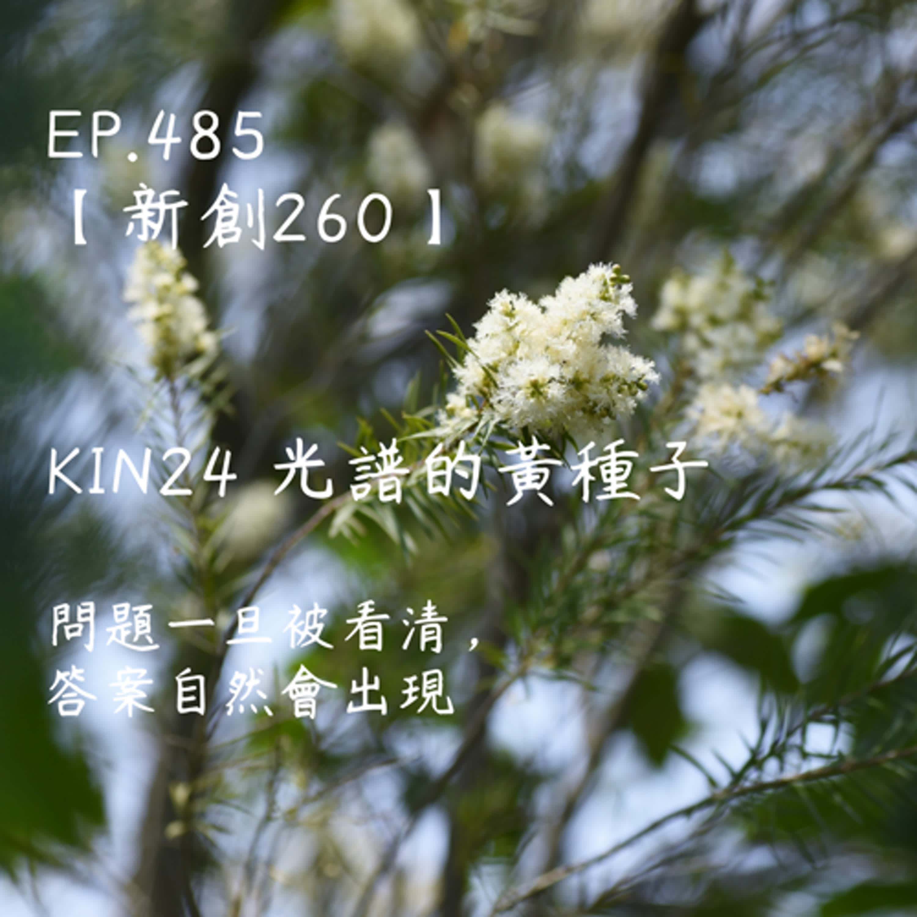 馬雅星球之旅｜EP485－【新創260】-KIN24光譜的黃種子-問題一旦被看清，答案自然會出現。 episode artwork