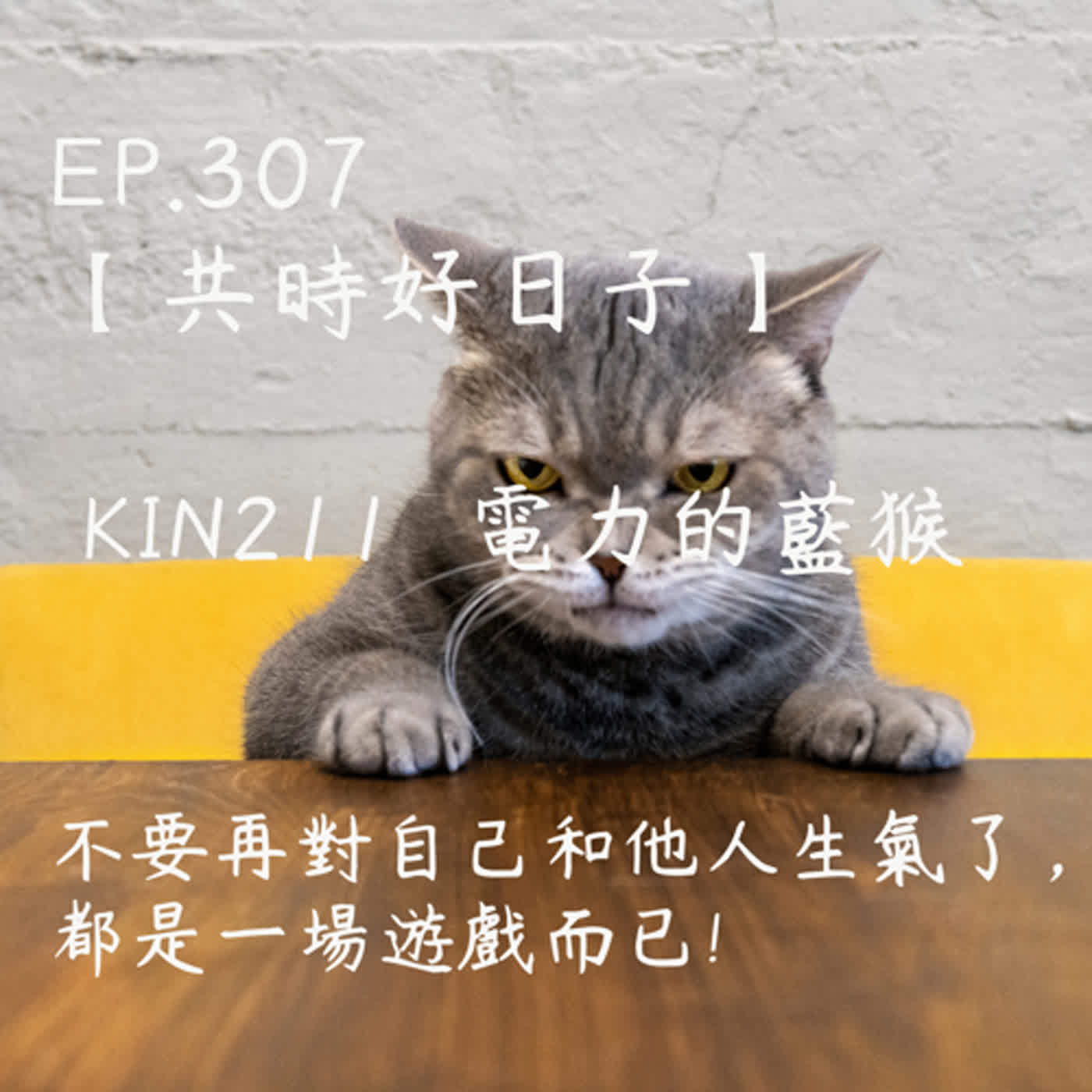 馬雅星球之旅｜EP307－【共時好日子】-KIN211電力的藍猴。不要再對自己和他人生氣了，都是一場遊戲而已! episode artwork