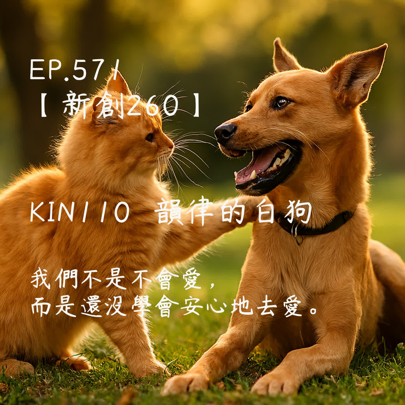 馬雅星球之旅｜EP571－【新創260】-KIN110韻律的白狗-我們不是不會愛， 而是還沒學會安心地去愛。 episode artwork