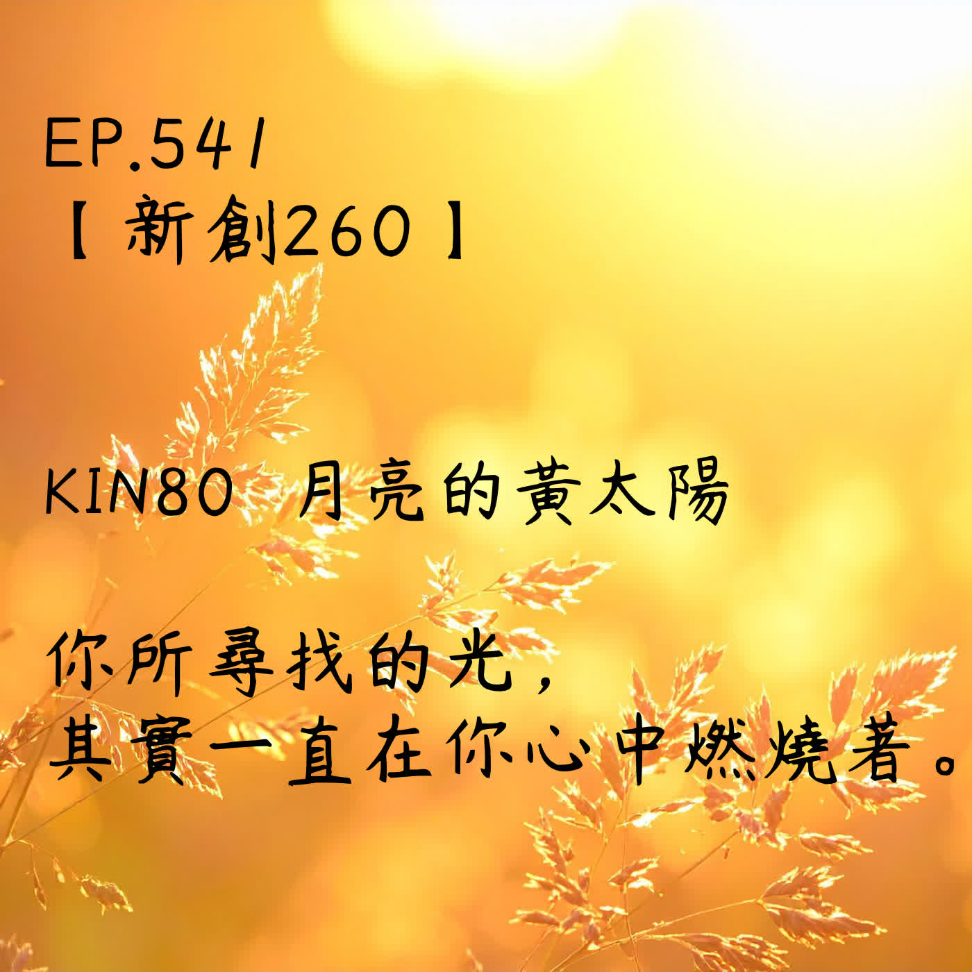 馬雅星球之旅｜EP541－【新創260】-KIN80月亮的黃太陽-你所尋找的光，其實一直在你心中燃燒著。