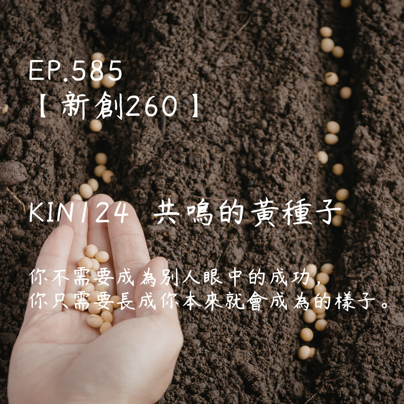 馬雅星球之旅｜EP585－【新創260】-KIN124共鳴的黃種子-你不需要成為別人眼中的成功， 你只需要長成你本來就會成為的樣子。 episode artwork