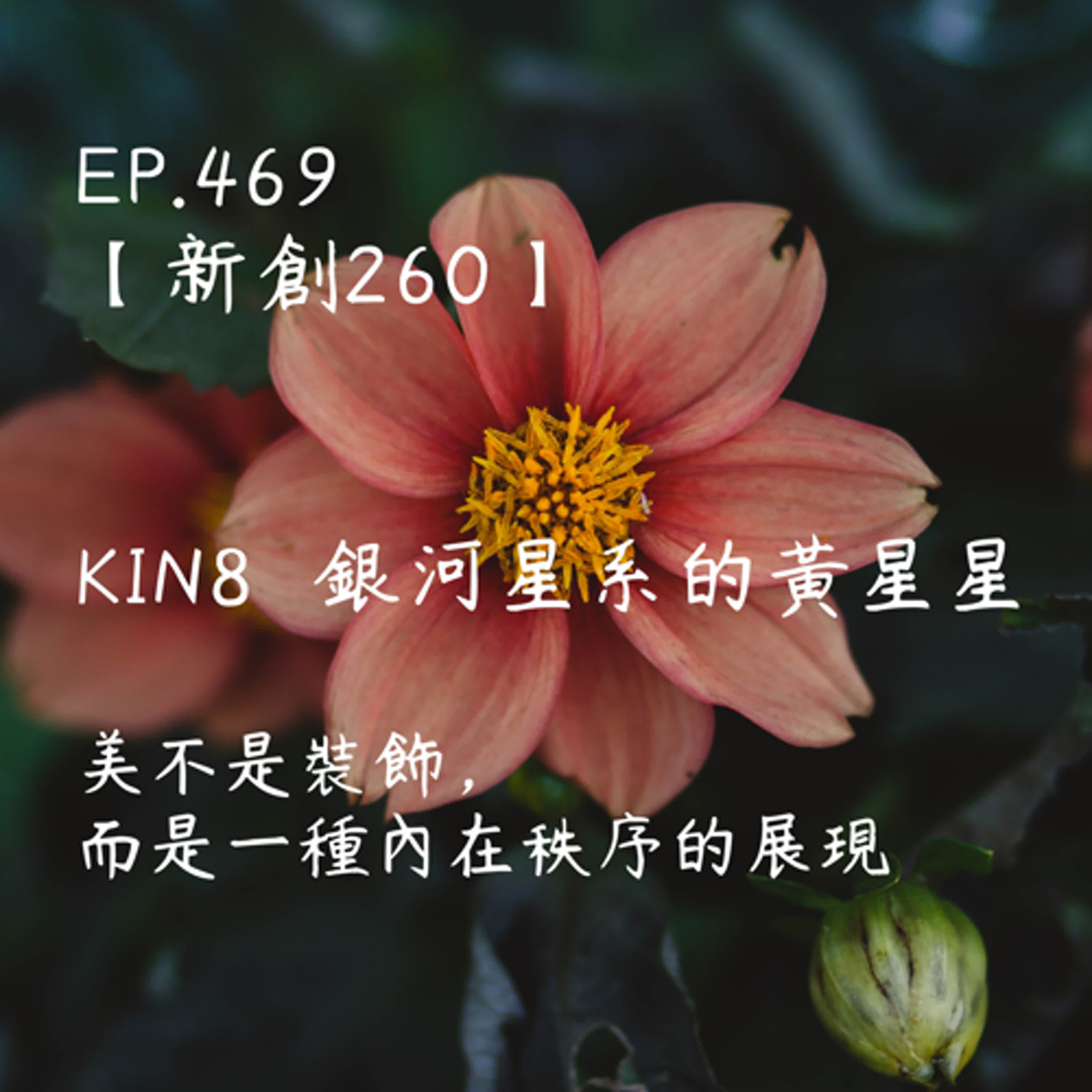 馬雅星球之旅｜EP469－【新創260】-KIN8銀河星系的黃星星-美不是裝飾，而是一種內在秩序的展現。