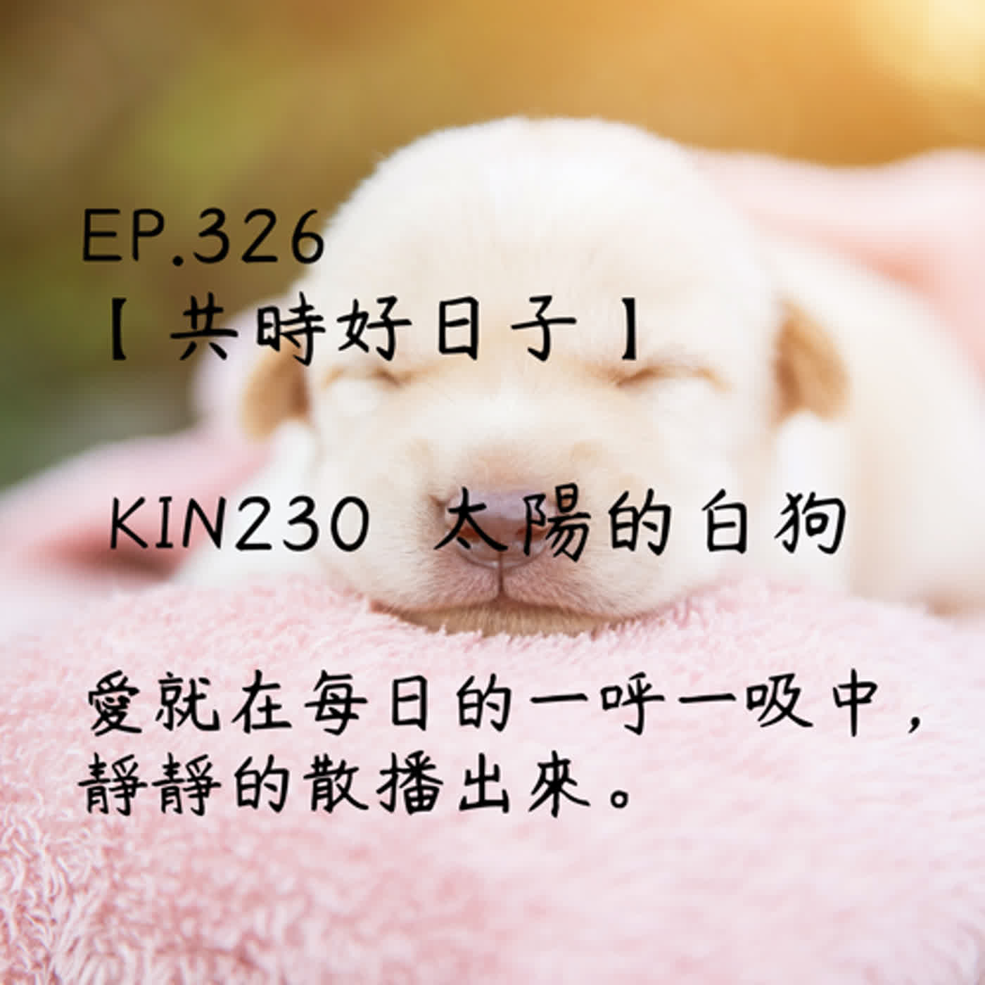 馬雅星球之旅｜EP326－【共時好日子】-KIN230太陽的白狗-愛就在每日的一呼一吸中，靜靜的散播出來。 episode artwork