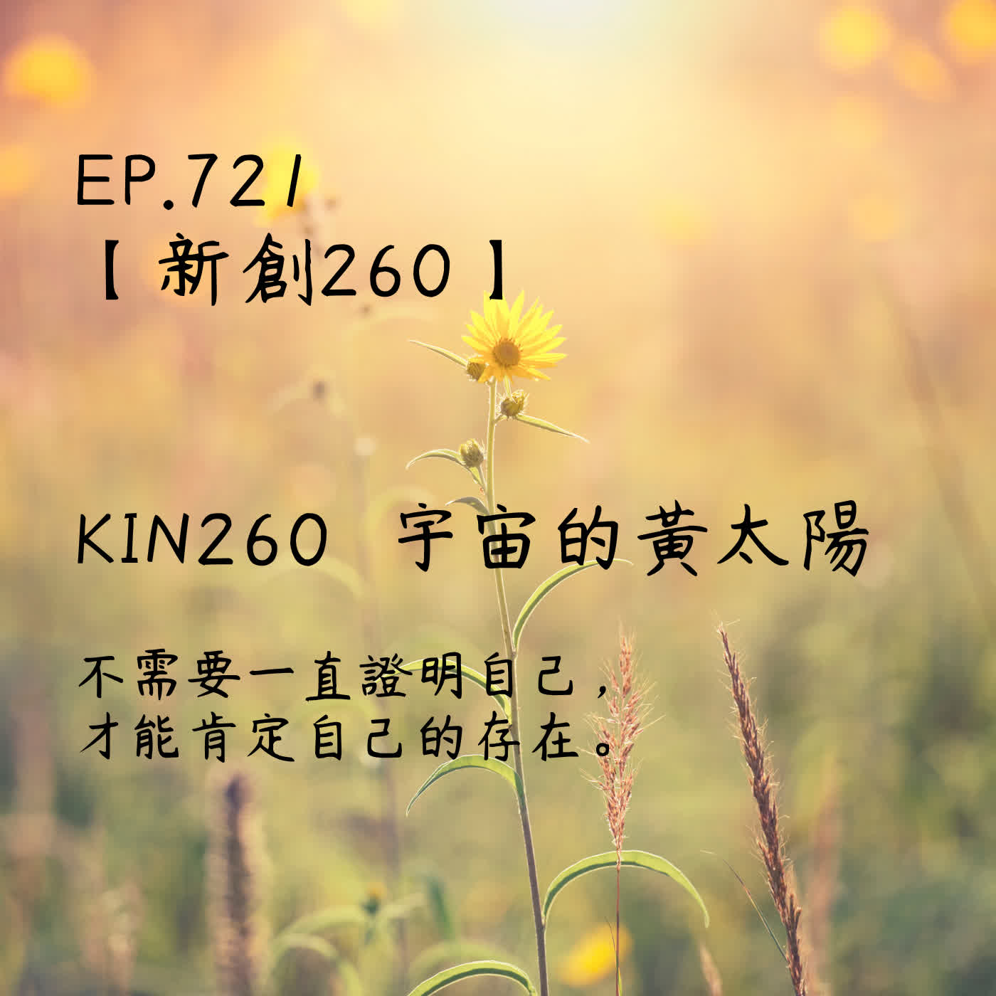 馬雅星球之旅｜EP721－【新創260】-KIN260宇宙的黃太陽-不需要一直證明自己，才能肯定自己的存在。 episode artwork