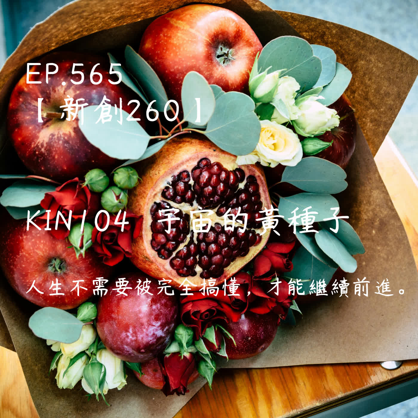 馬雅星球之旅｜EP565－【新創260】-KIN104宇宙的黃種子-人生不需要被完全搞懂，才能繼續前進。 episode artwork