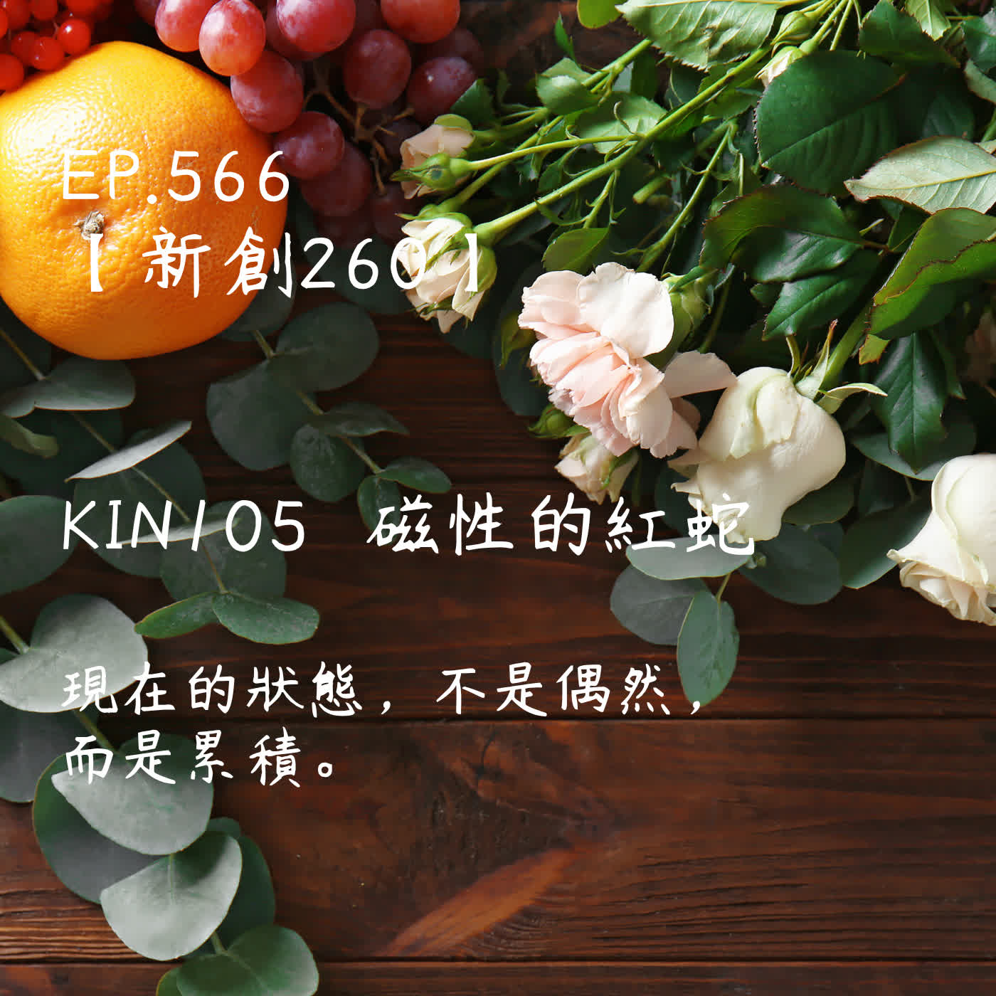 馬雅星球之旅｜EP566－【新創260】-KIN105磁性的紅蛇-現在的狀態，不是偶然，而是累積。 episode artwork