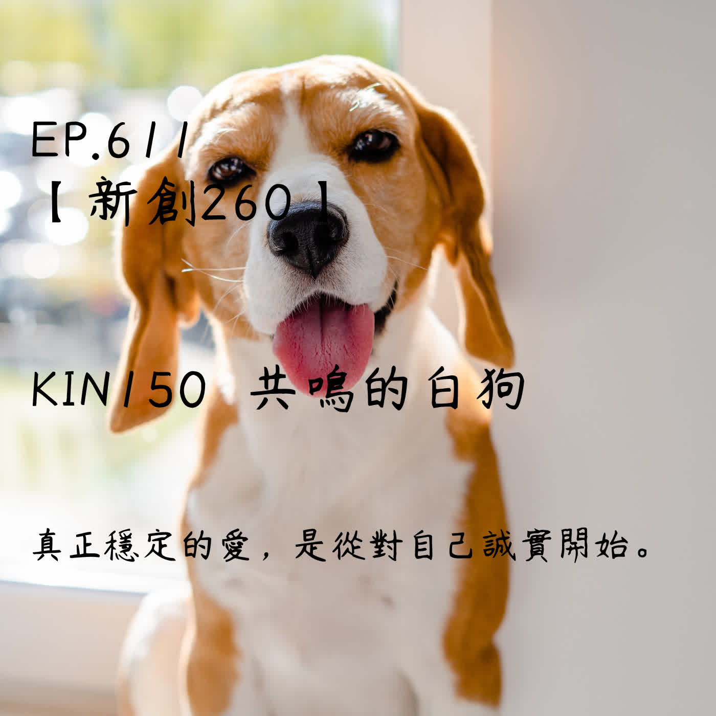 馬雅星球之旅｜EP611－【新創260】-KIN150共鳴的白狗-真正穩定的愛，是從對自己誠實開始。 episode artwork