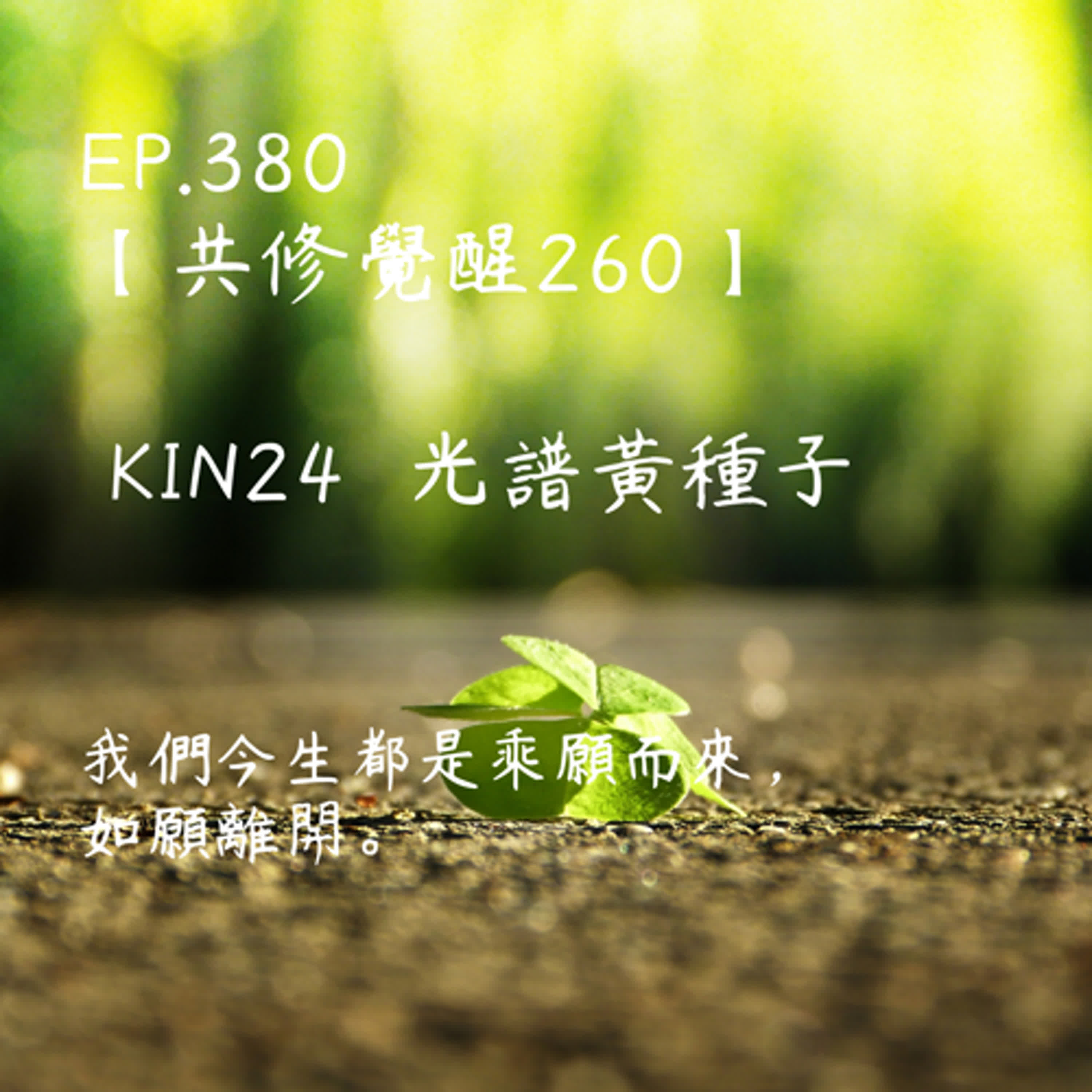 馬雅星球之旅｜EP380－【共修覺醒260】-KIN24光譜的黃種子-我們今生都是乘願而來，如願離開。 episode artwork