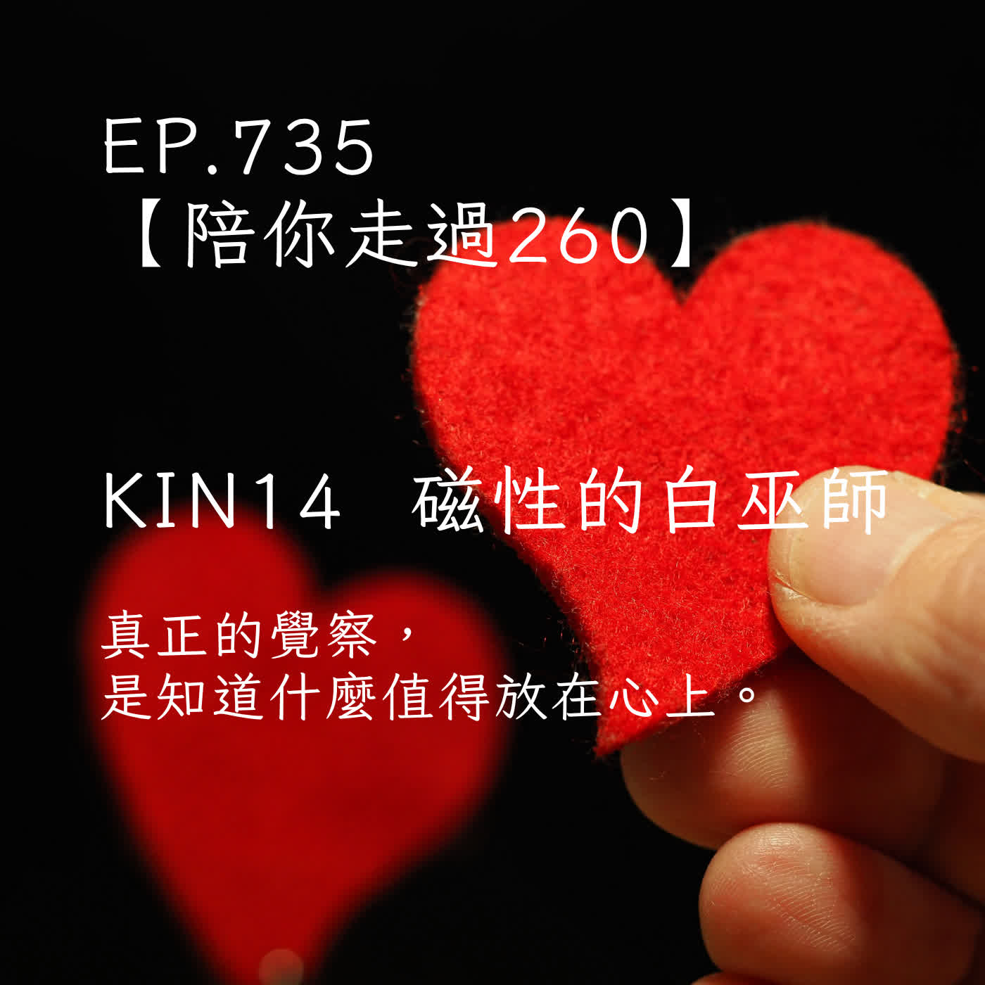 馬雅星球之旅｜EP735－【陪你走過260】｜KIN 14  磁性的白巫師｜真正的覺察，是知道什麼值得放在心上。 episode artwork