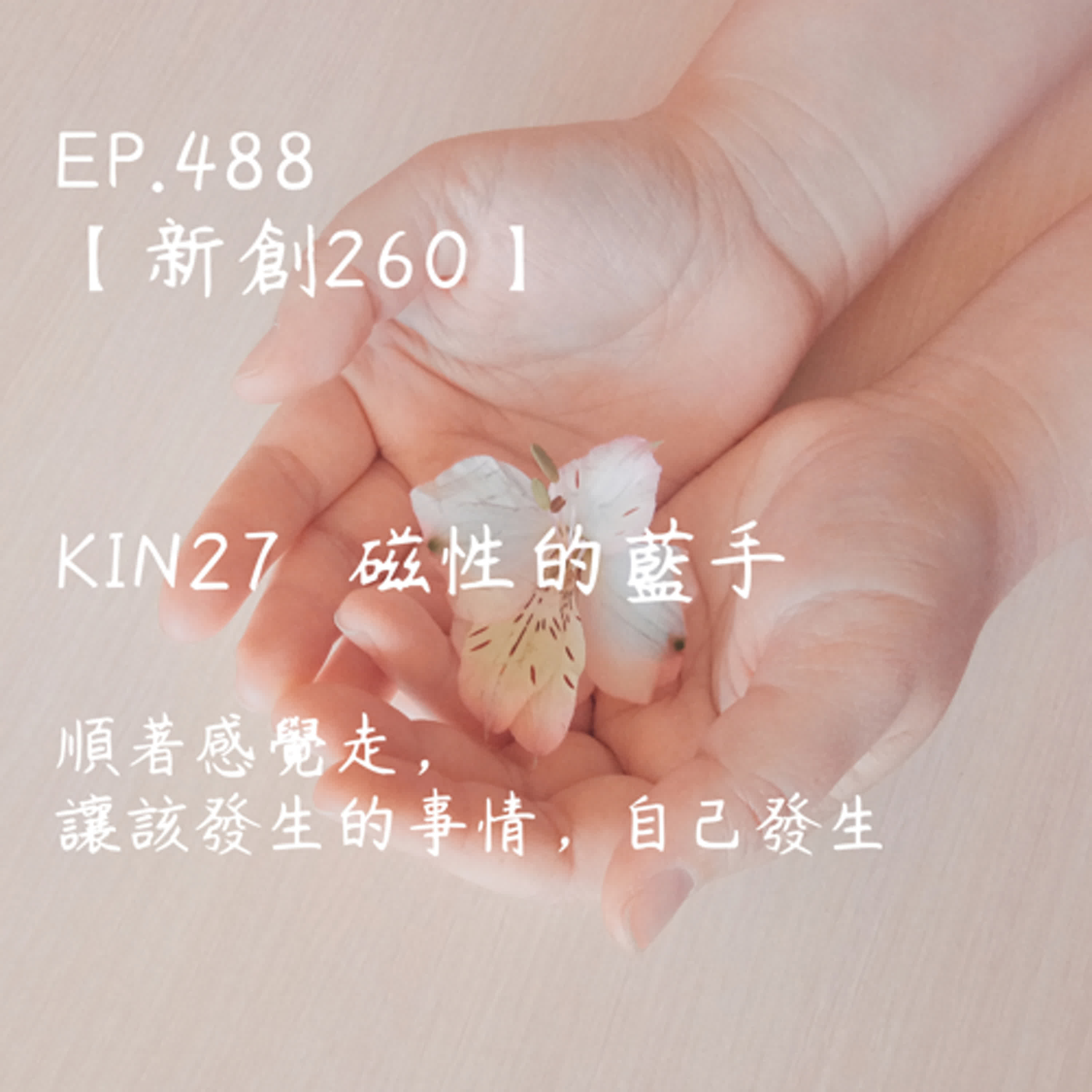 馬雅星球之旅｜EP488－【新創260】-KIN27磁性的藍手-順著感覺走，讓該發生的事情，自己發生。