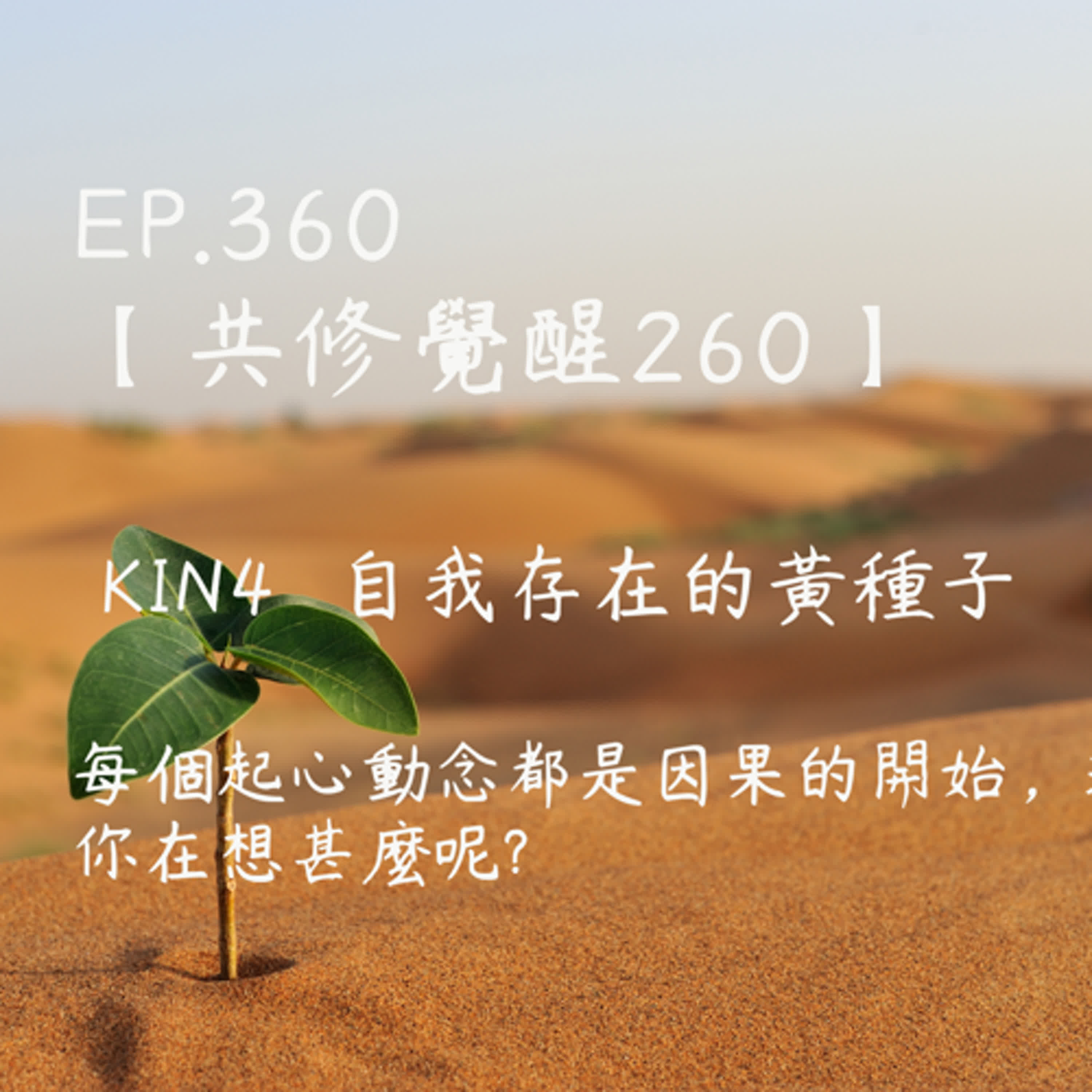 馬雅星球之旅｜EP360－【共修覺醒260】-KIN4自我存在的黃種子-每個起心動念都是因果的開始，現在的你在想甚麼呢? episode artwork