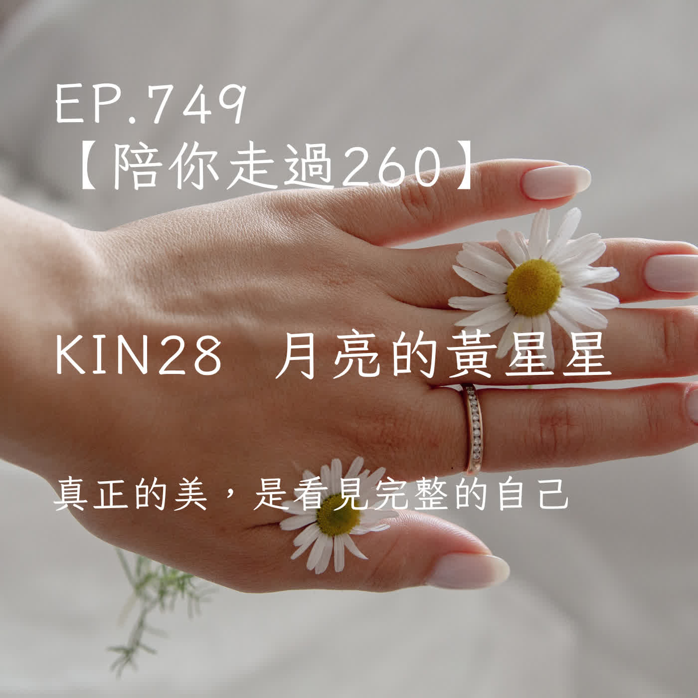 馬雅星球之旅｜EP749－【陪你走過260】｜KIN 28 月亮的黃星星｜真正的美，是看見完整的自己。 episode artwork