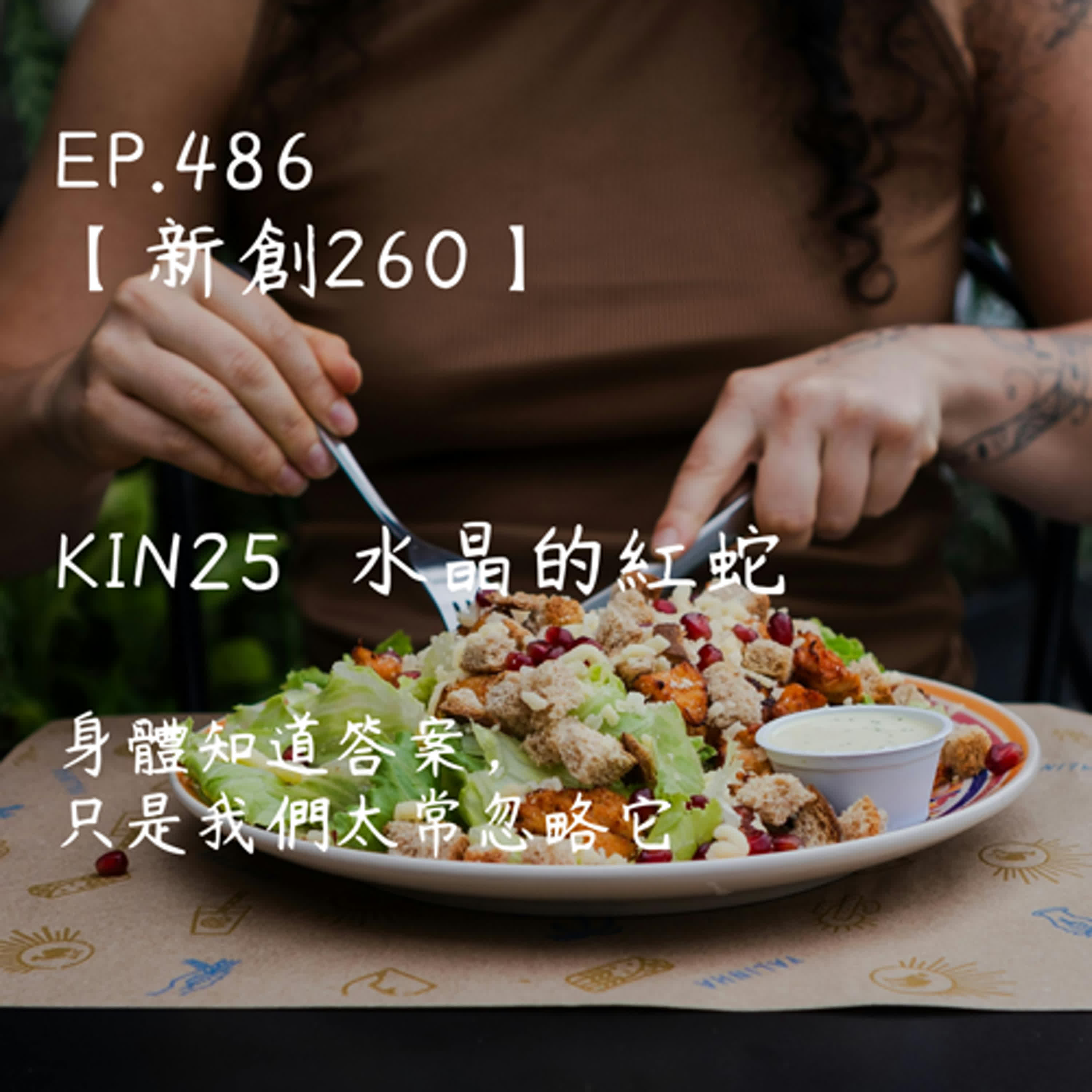 馬雅星球之旅｜EP486－【新創260】-KIN25水晶的紅蛇-身體知道答案，只是我們太常忽略它。