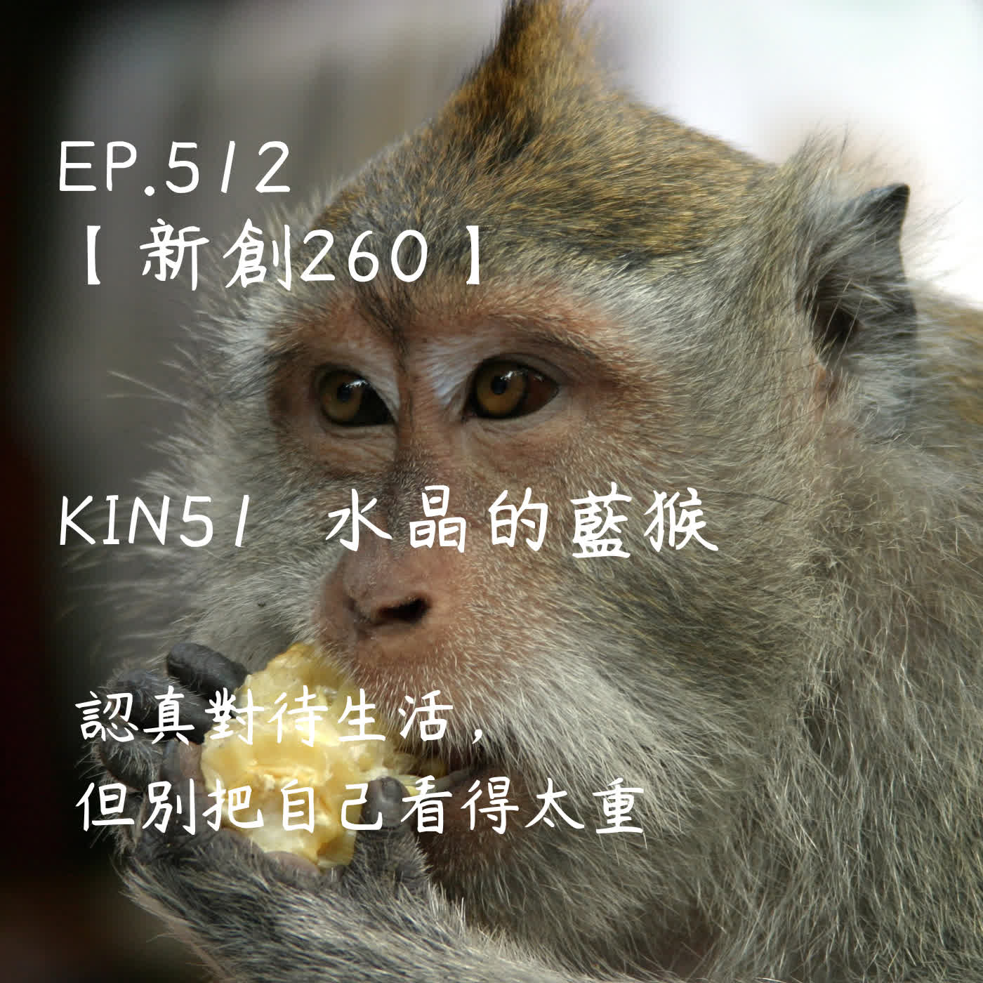 馬雅星球之旅｜EP512－【新創260】-KIN51水晶的藍猴-認真對待生活，但別把自己看得太重。