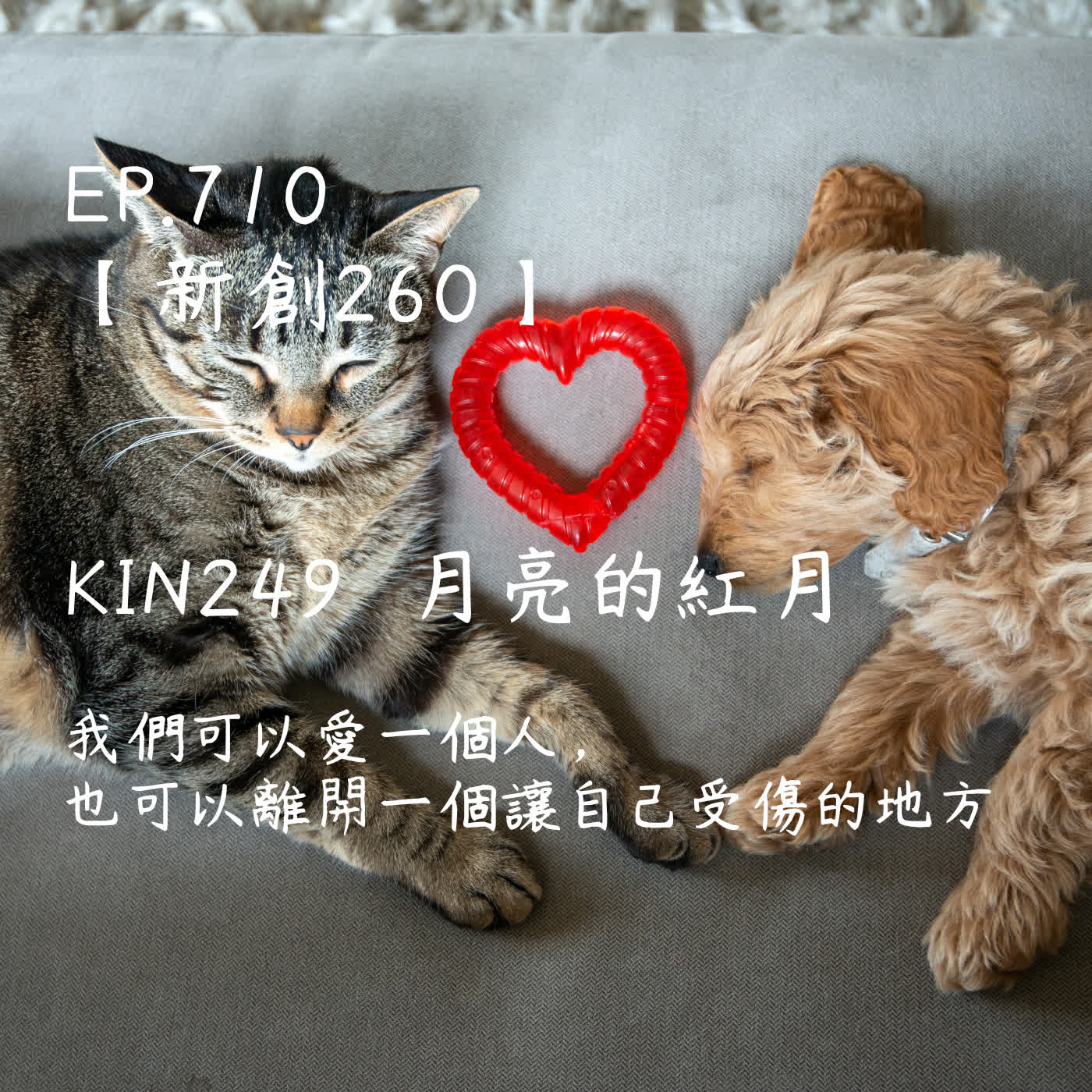 馬雅星球之旅｜EP710－【新創260】-KIN249月亮的紅月-我們可以愛一個人，也可以離開一個讓自己受傷的地方。 episode artwork