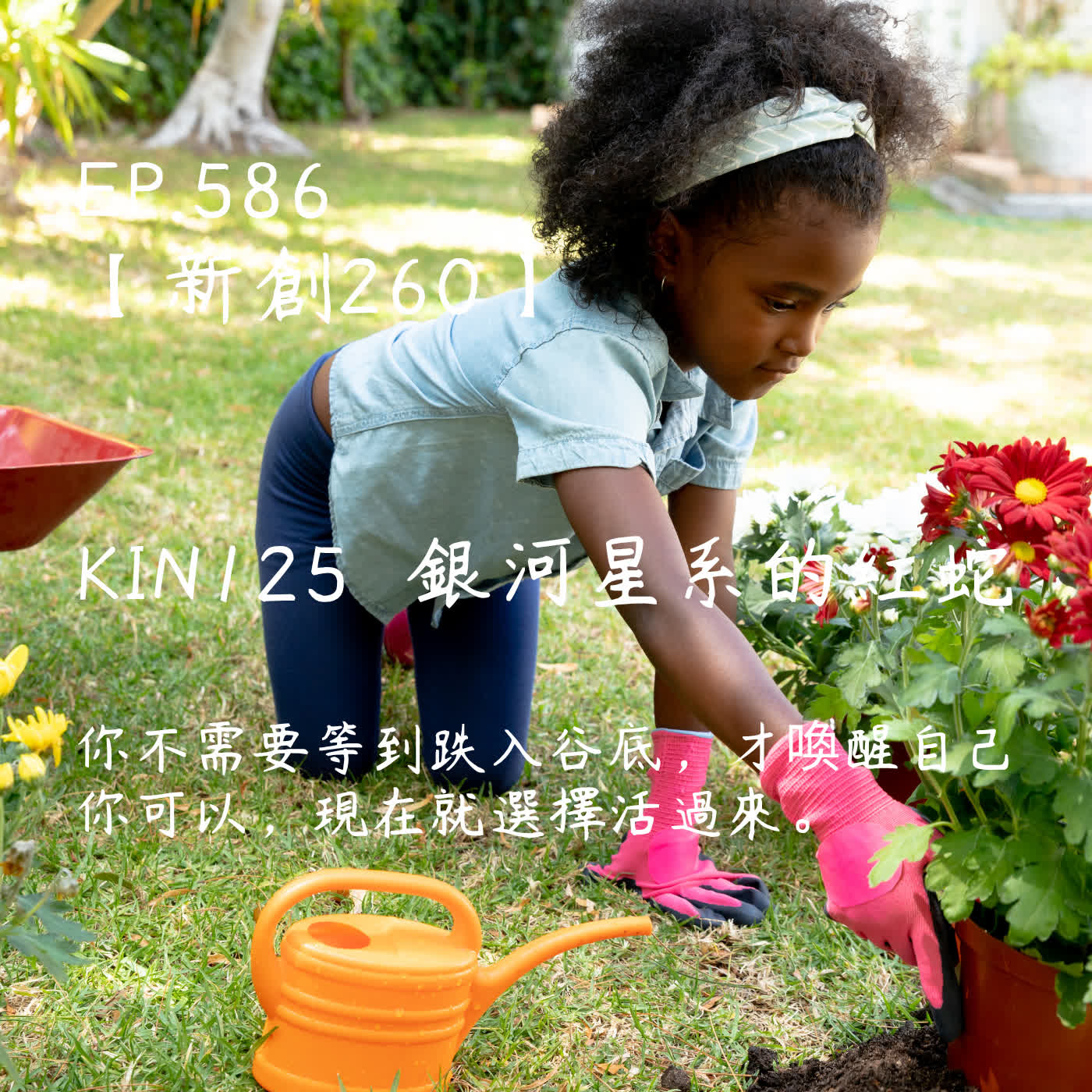 馬雅星球之旅｜EP586－【新創260】-KIN125銀河星系的紅蛇-你不需要等到跌入谷底，才喚醒自己  你可以，現在就選擇活過來。 episode artwork