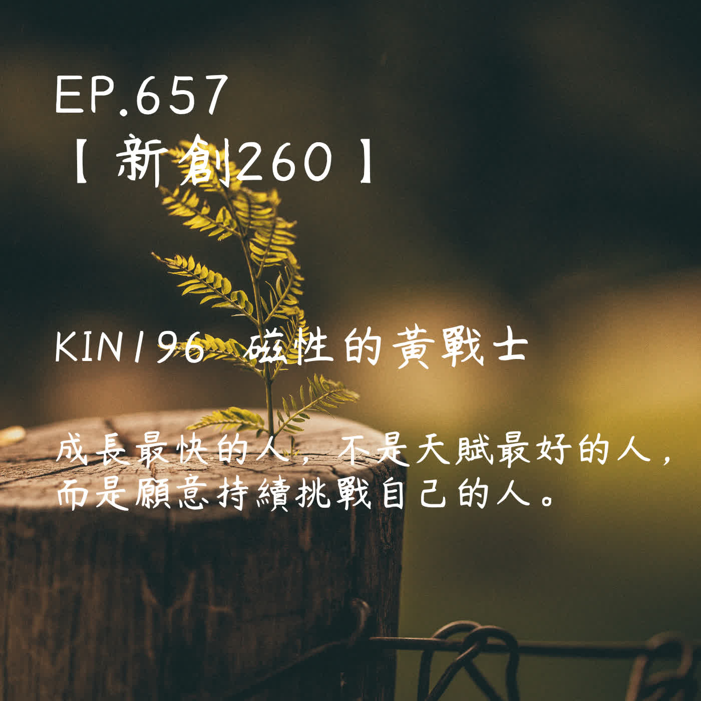 馬雅星球之旅｜EP657－【新創260】-KIN196磁性的黃戰士-成長最快的人，不是天賦最好的人， 而是願意持續挑戰自己的人。 episode artwork