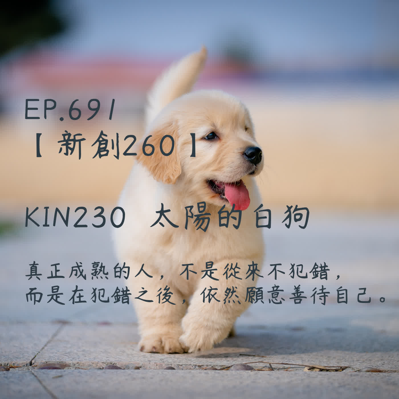 馬雅星球之旅｜EP691－【新創260】-KIN230太陽的白狗-真正成熟的人，不是從來不犯錯， 而是在犯錯之後，依然願意善待自己。 episode artwork