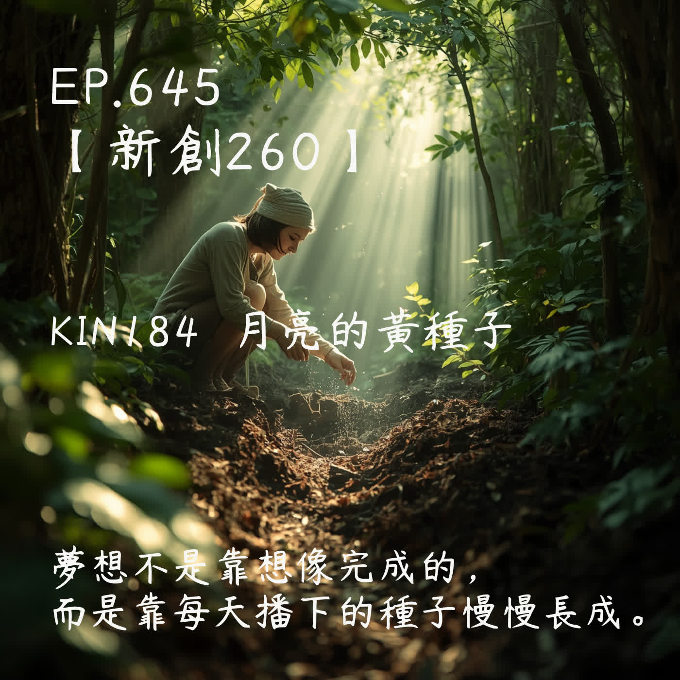 馬雅星球之旅｜EP645－【新創260】-KIN184月亮的黃種子-夢想不是靠想像完成的， 而是靠每天播下的種子慢慢長成。 episode artwork