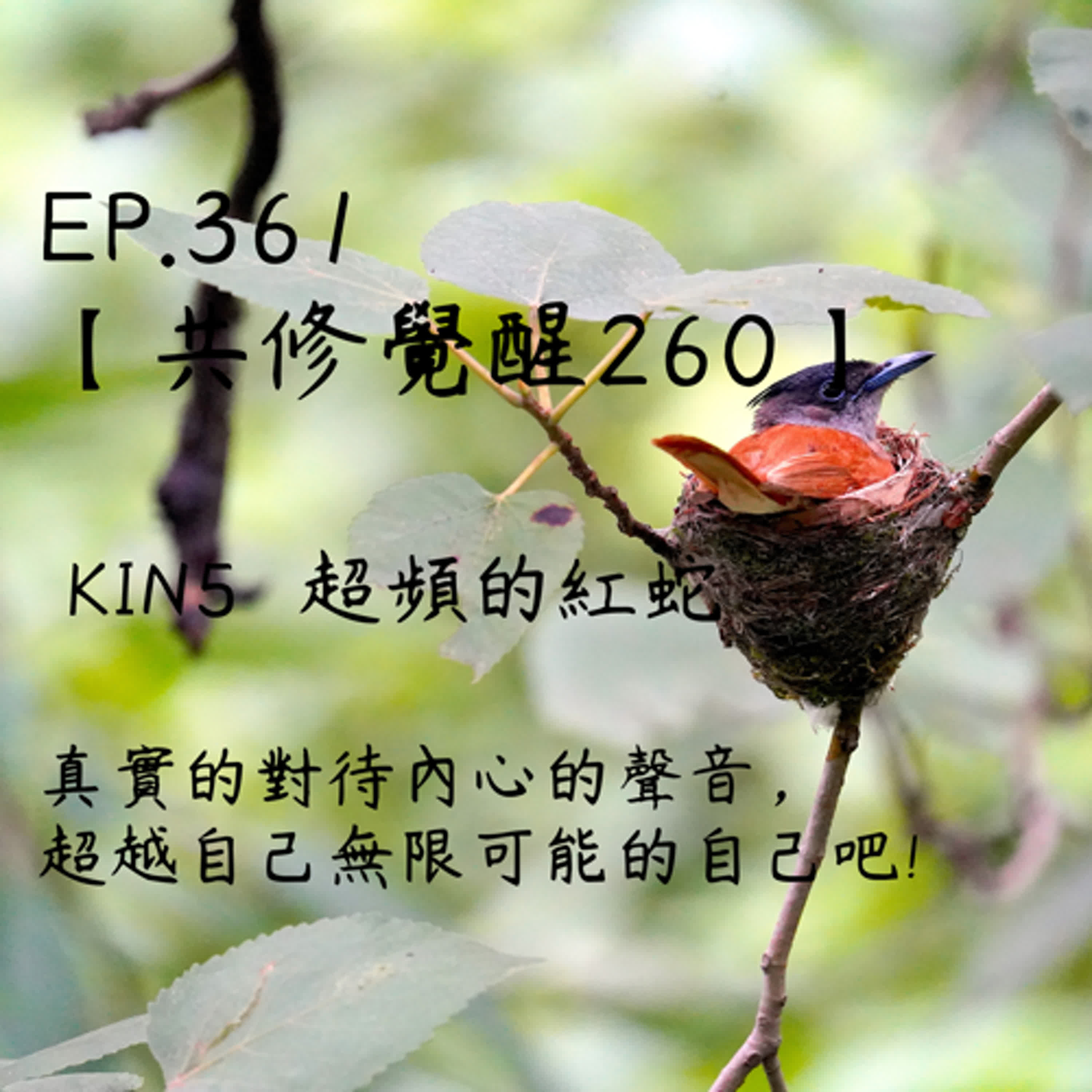 馬雅星球之旅｜EP361－【共修覺醒260】-KIN5超頻的紅蛇-真實的對待內心的聲音，超越自己無限可能的自己吧! episode artwork