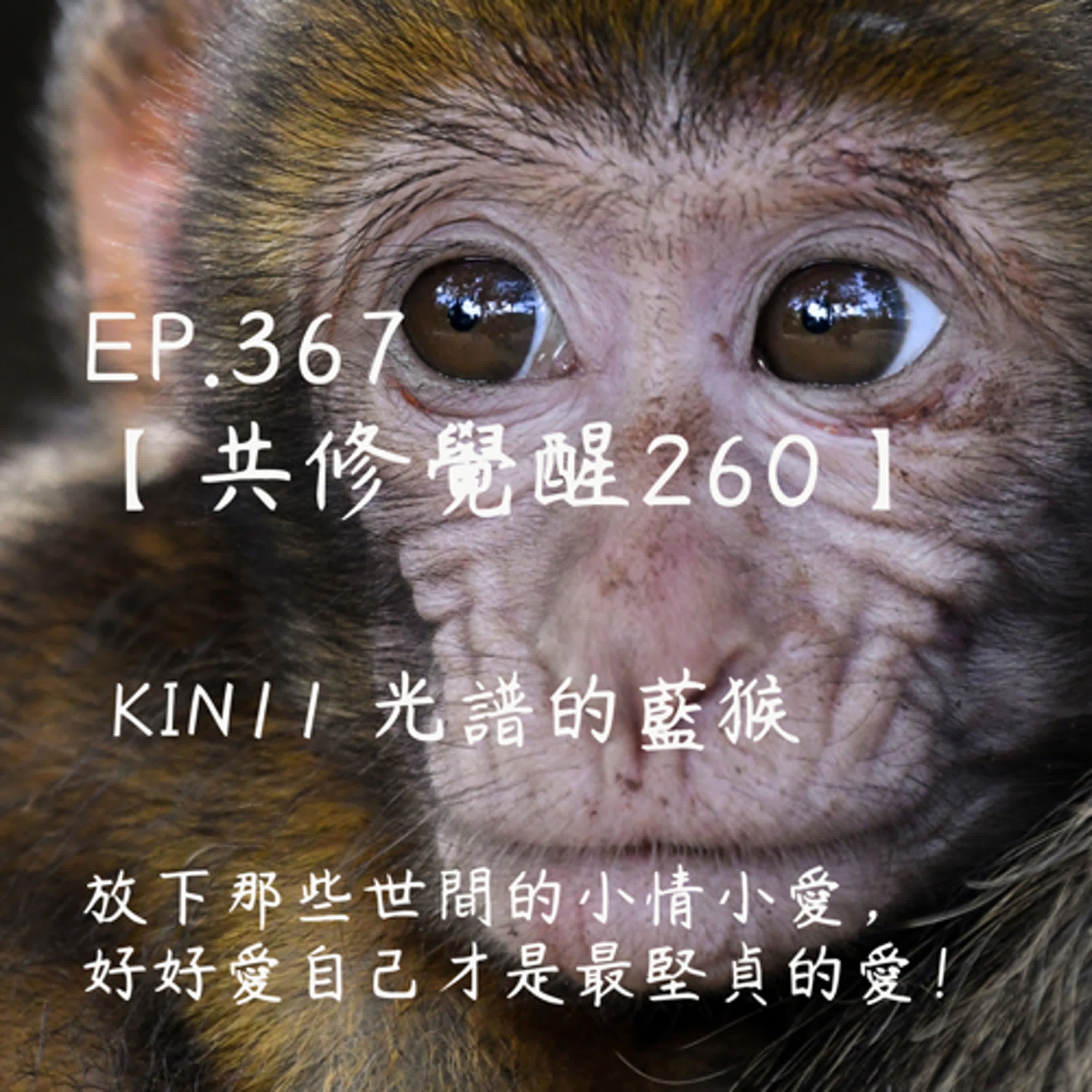馬雅星球之旅｜EP367－【共修覺醒260】-KIN11光譜的藍猴-放下那些世間的小情小愛，好好愛自己才是最堅貞的愛！ episode artwork
