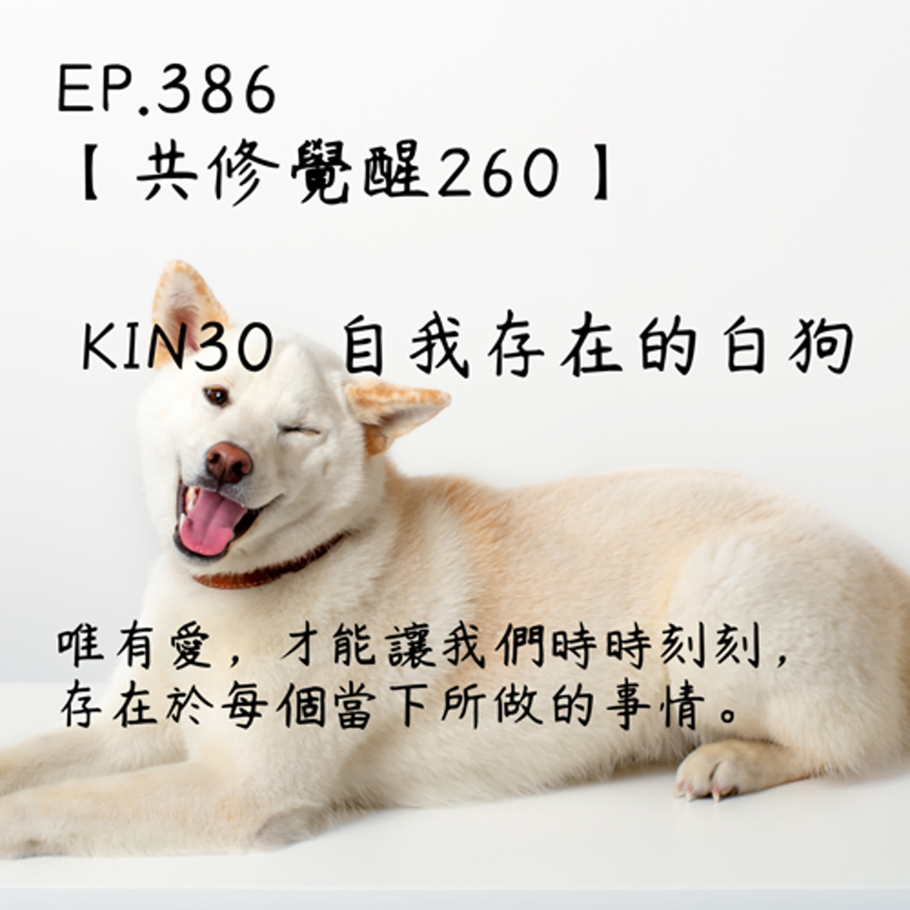 馬雅星球之旅｜EP386－【共修覺醒260】-KIN30自我存在的白狗-唯有愛，才能讓我們時時刻刻，存在於每個當下所做的事情。 episode artwork