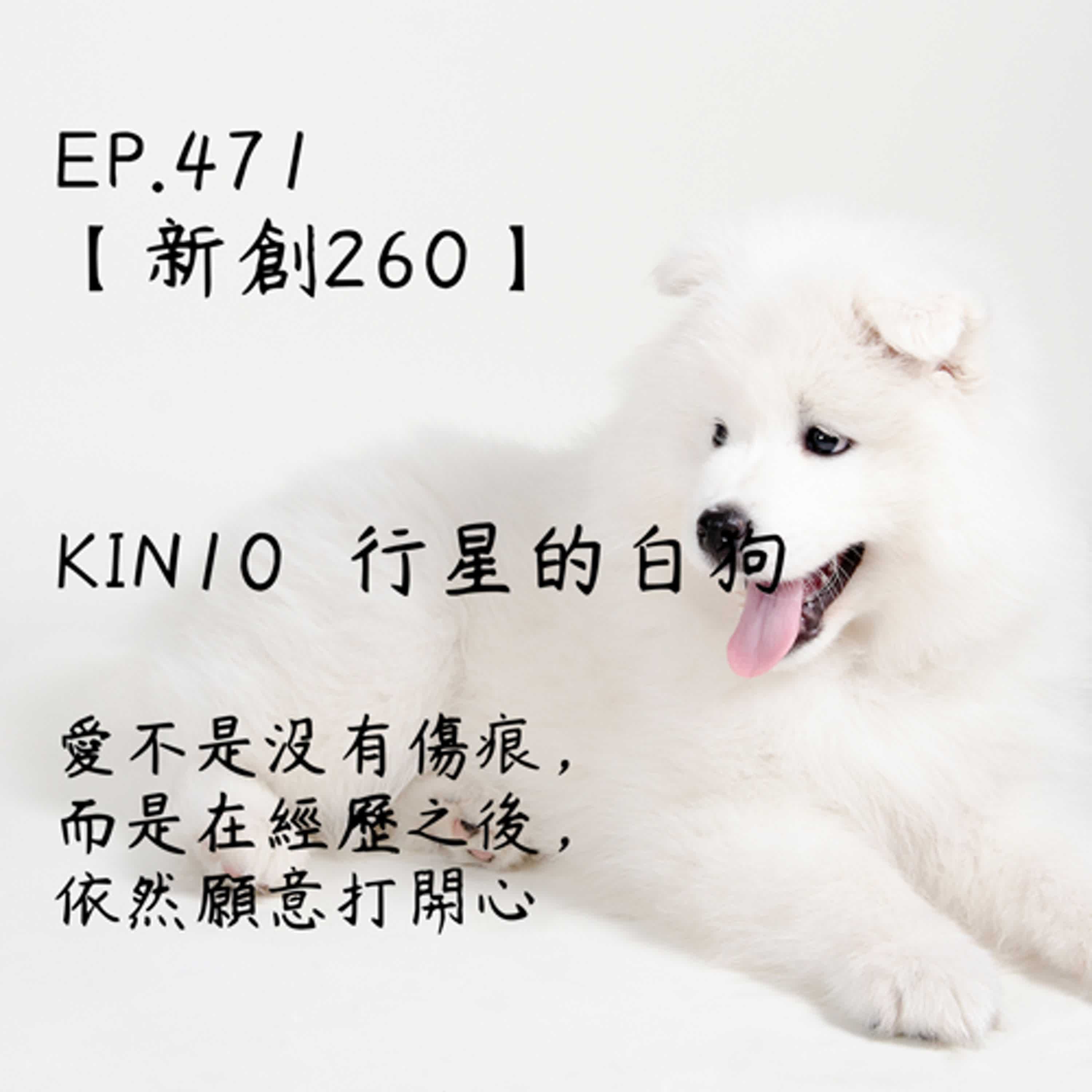 馬雅星球之旅｜EP471－【新創260】-KIN10行星的白狗-愛不是沒有傷痕， 而是在經歷之後， 依然願意打開心。 episode artwork