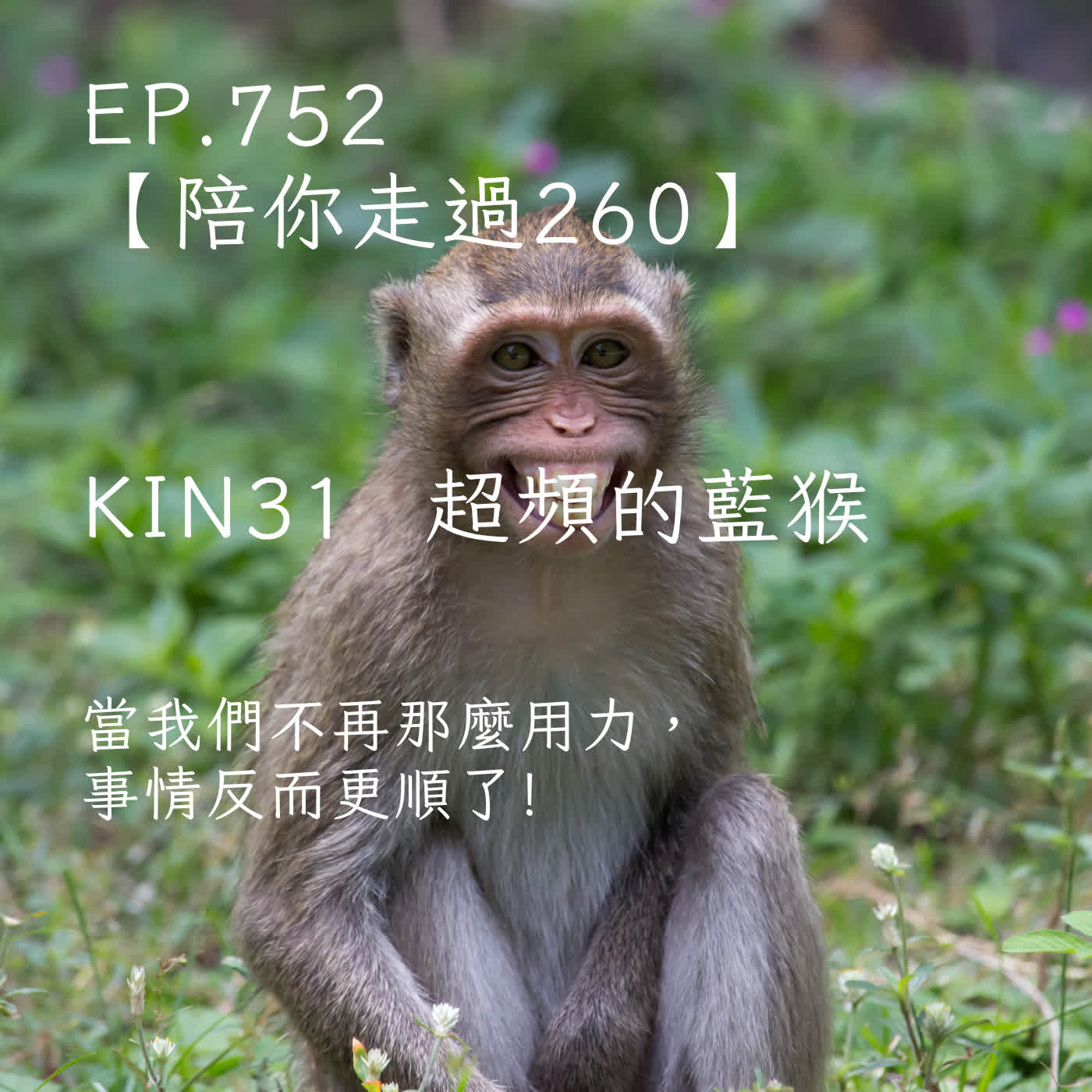 馬雅星球之旅｜EP752－【陪你走過260】｜KIN 31 超頻的藍猴｜當我們不再那麼用力，事情反而更順了! episode artwork