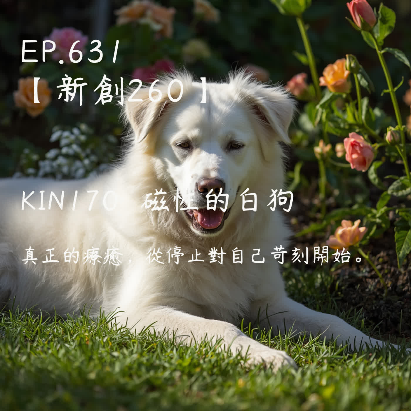 馬雅星球之旅｜EP631－【新創260】-KIN170磁性的白狗-真正的療癒，從停止對自己苛刻開始 episode artwork