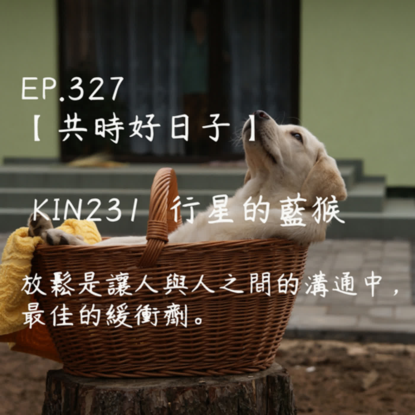 馬雅星球之旅｜EP327－【共時好日子】-KIN231行星的藍猴-放鬆是讓人與人之間的溝通中，最佳的緩衝劑。 episode artwork