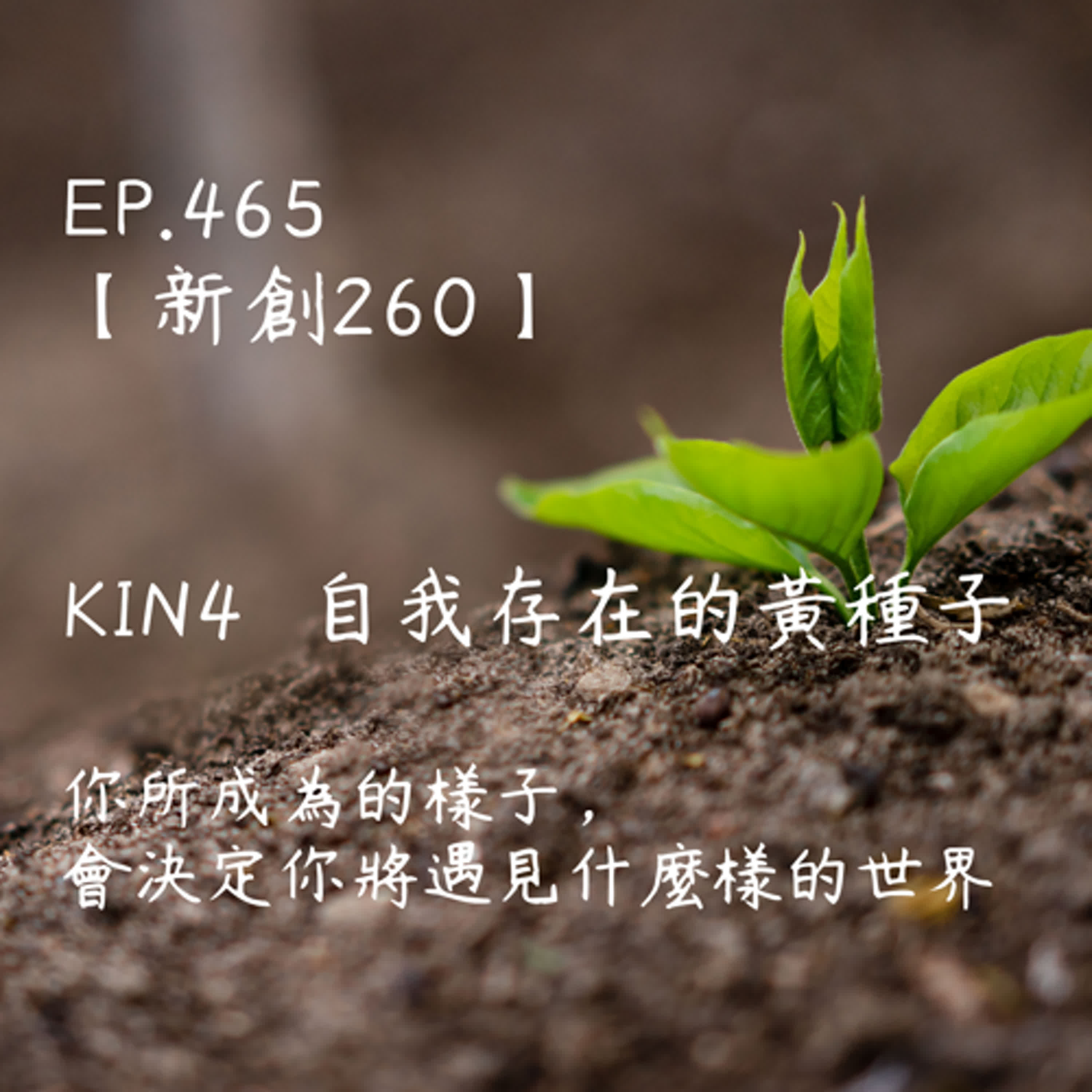 馬雅星球之旅|EP465-【新創260】-KIN4自我存在的黃種子-你所成為的樣子,會決定你將遇見什麼樣的世界 馬雅星球之旅|EP465-【新創260】-KIN4自我存在的黃種子-你所成為的樣子,會決定你將遇見什麼樣的世界