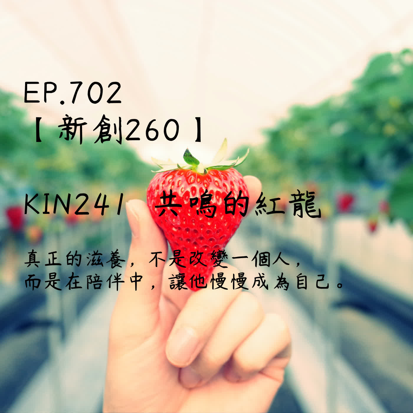馬雅星球之旅｜EP702－【新創260】-KIN241共鳴的紅龍-真正的滋養，不是改變一個人， 而是在陪伴中，讓他慢慢成為自己。 episode artwork