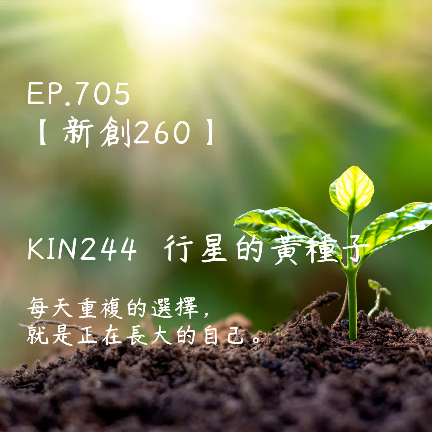 馬雅星球之旅｜EP705－【新創260】-KIN244行星的黃種子-每天重複的選擇， 就是正在長大的自己。 episode artwork