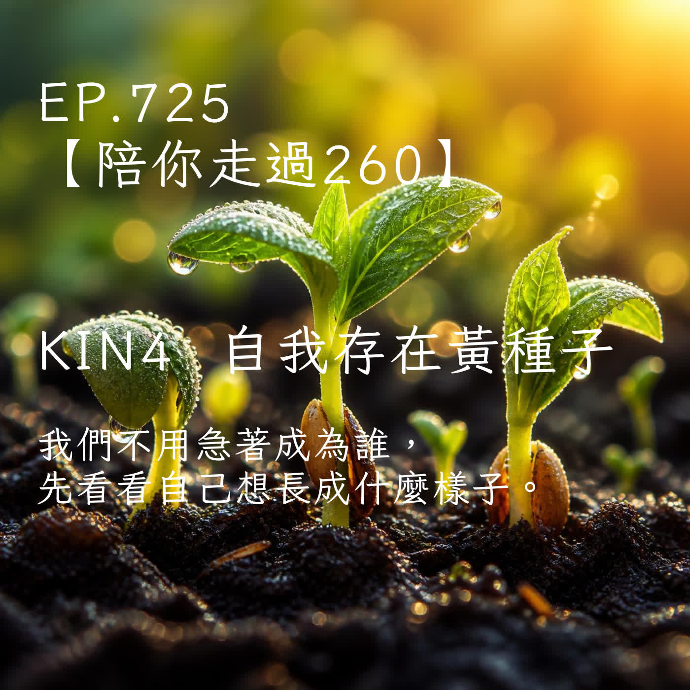 馬雅星球之旅｜EP725－【陪你走過260】｜KIN 4 自我存在的黃種子 ｜我們不用急著成為誰，先看看自己想長成什麼樣子。 episode artwork