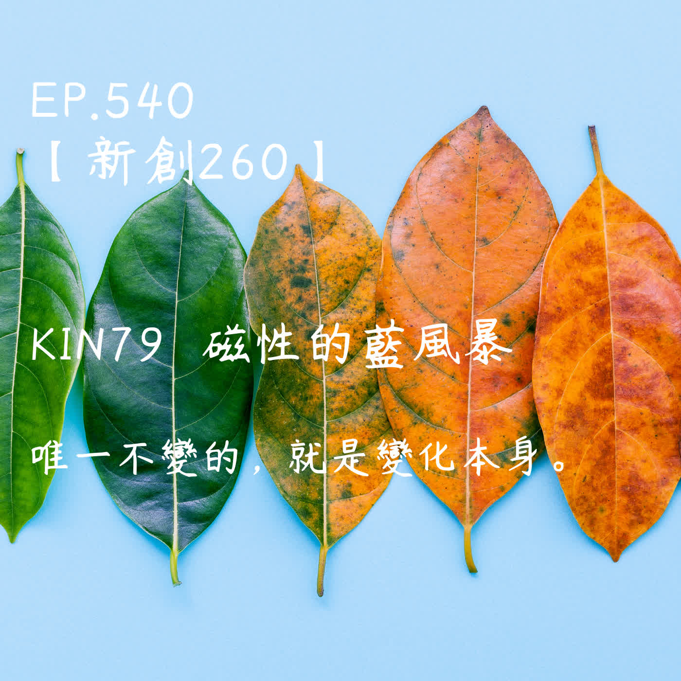 馬雅星球之旅｜EP540－【新創260】-KIN79磁性的藍風暴-唯一不變的，就是變化本身。