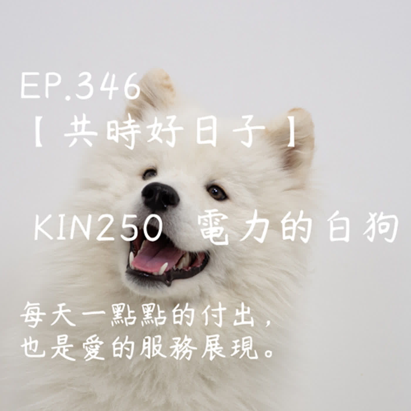 馬雅星球之旅｜EP346－【共時好日子】-KIN250電力的白狗-每天一點點的付出，也是愛的服務展現。 episode artwork