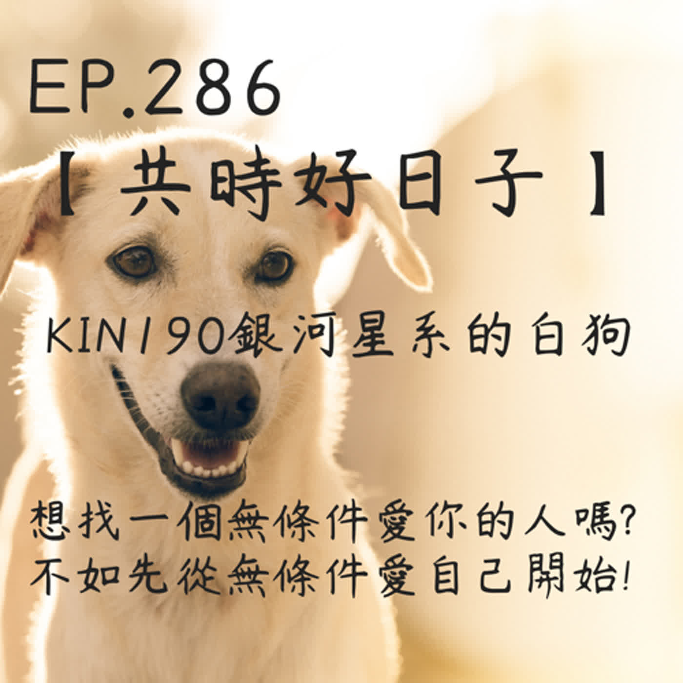 馬雅星球之旅｜EP286－【共時好日子】-KIN190銀河星系的白狗。想找一個無條件愛你的人嗎?不如先從無條件愛自己開始! episode artwork
