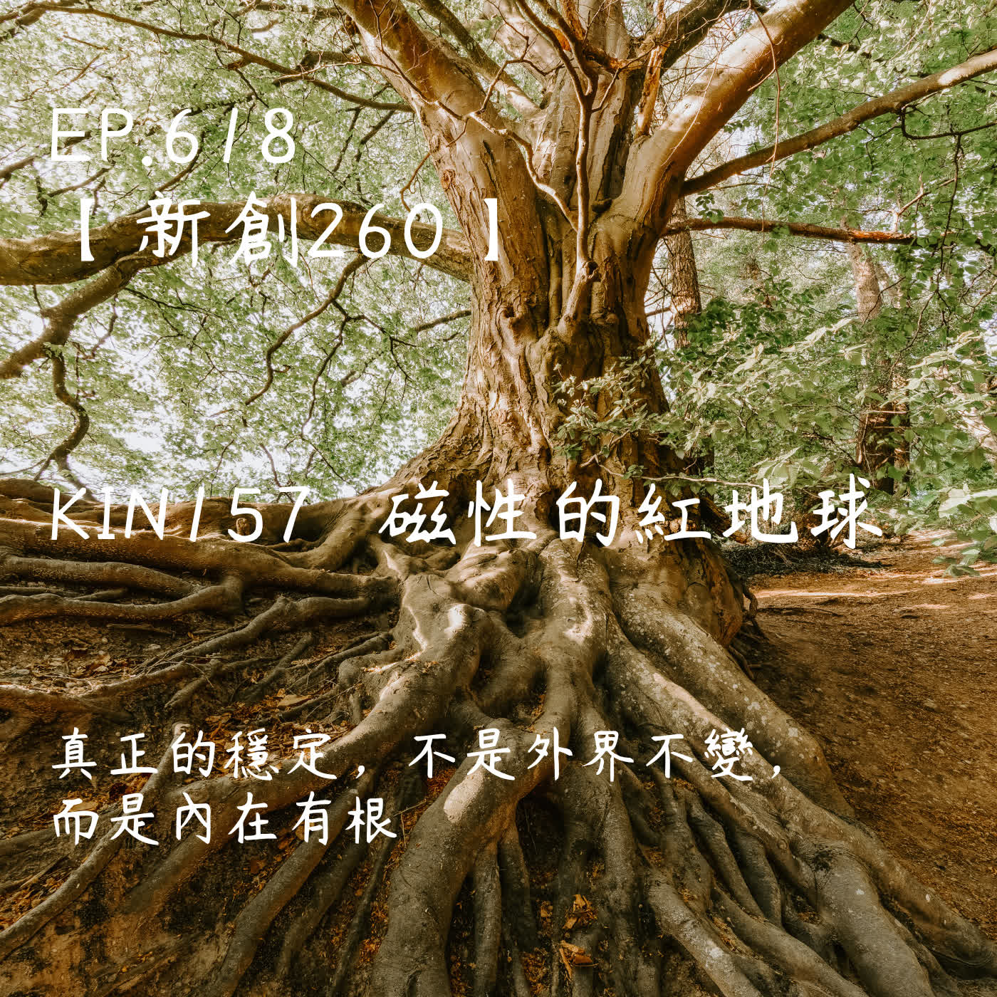 馬雅星球之旅｜EP618－【新創260】-KIN157磁性的紅地球-真正的穩定，不是外界不變， 而是內在有根。 episode artwork